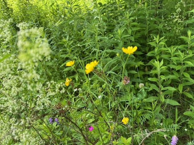 main property photo 77
