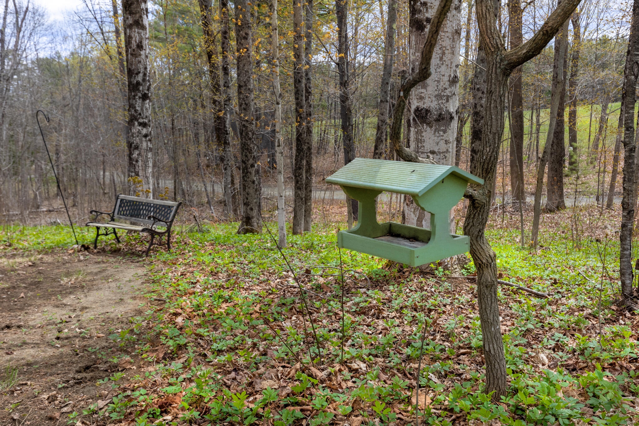main property photo 28
