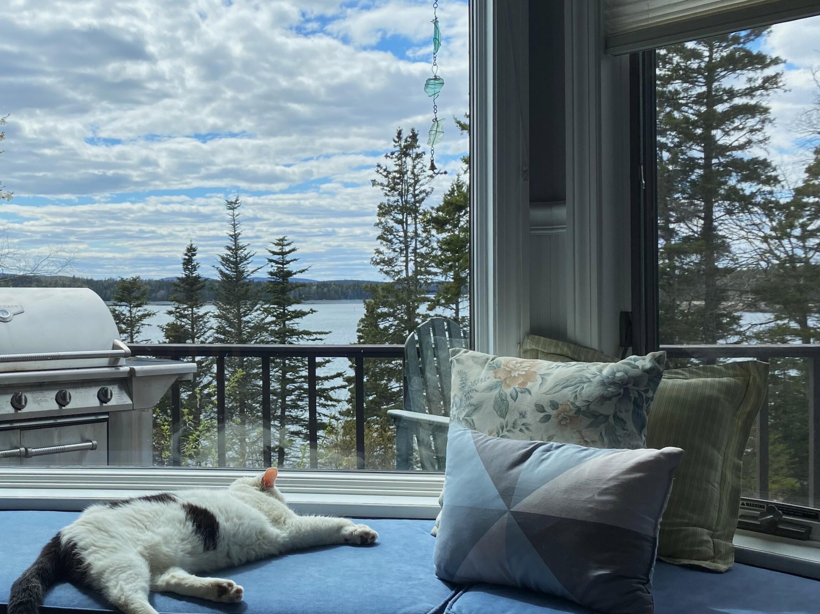 main property photo 49