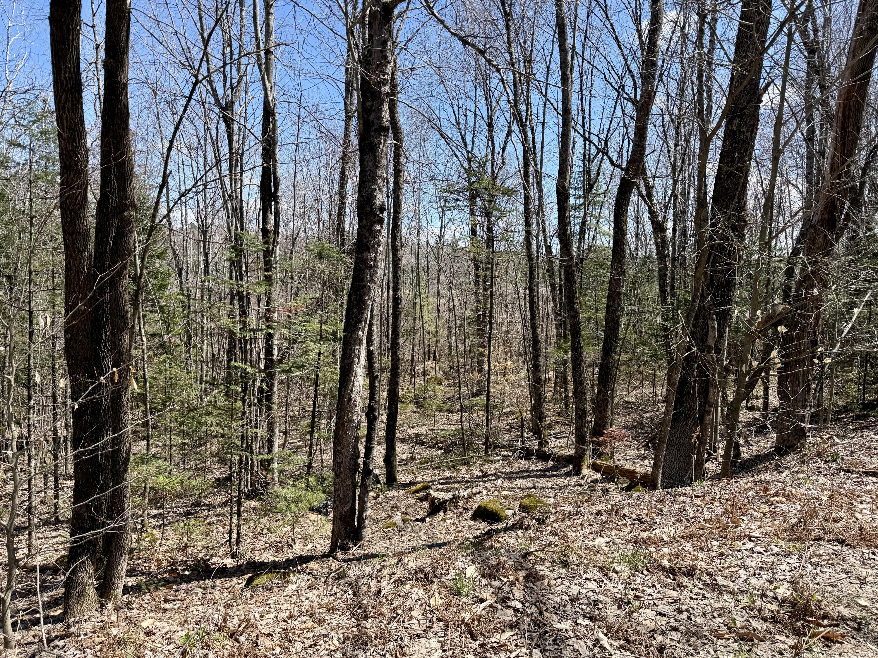 main property photo 12