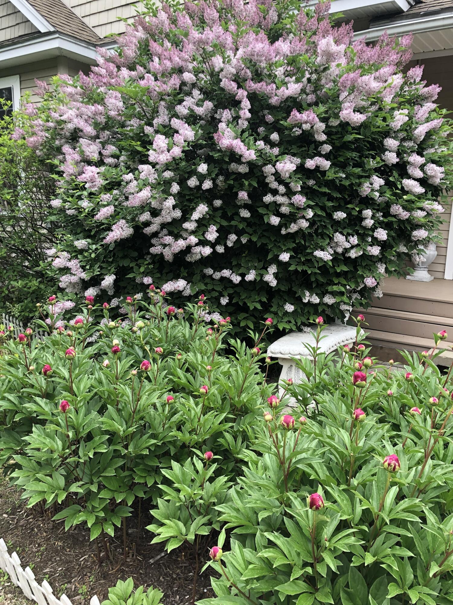 main property photo 51