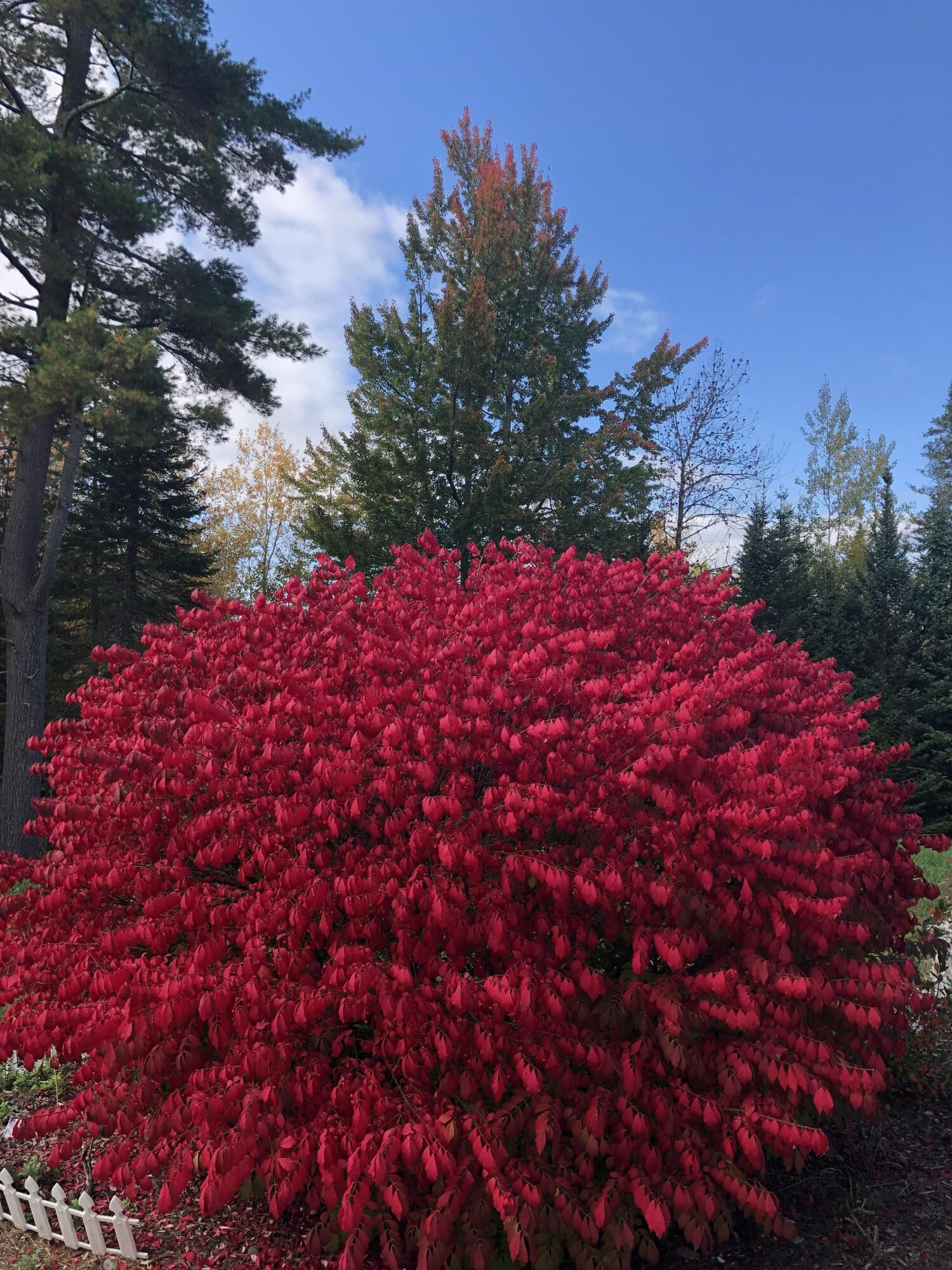 main property photo 53