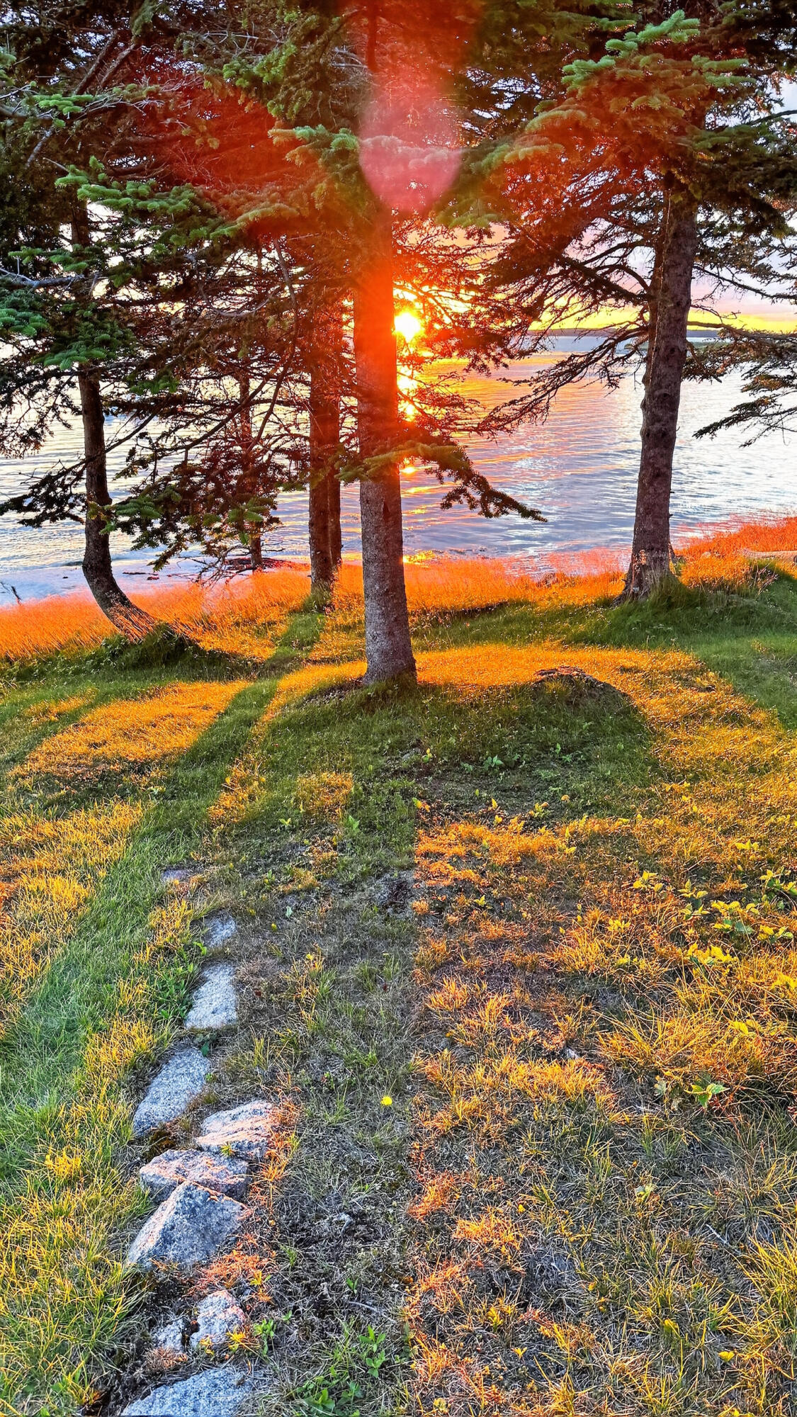 main property photo 63
