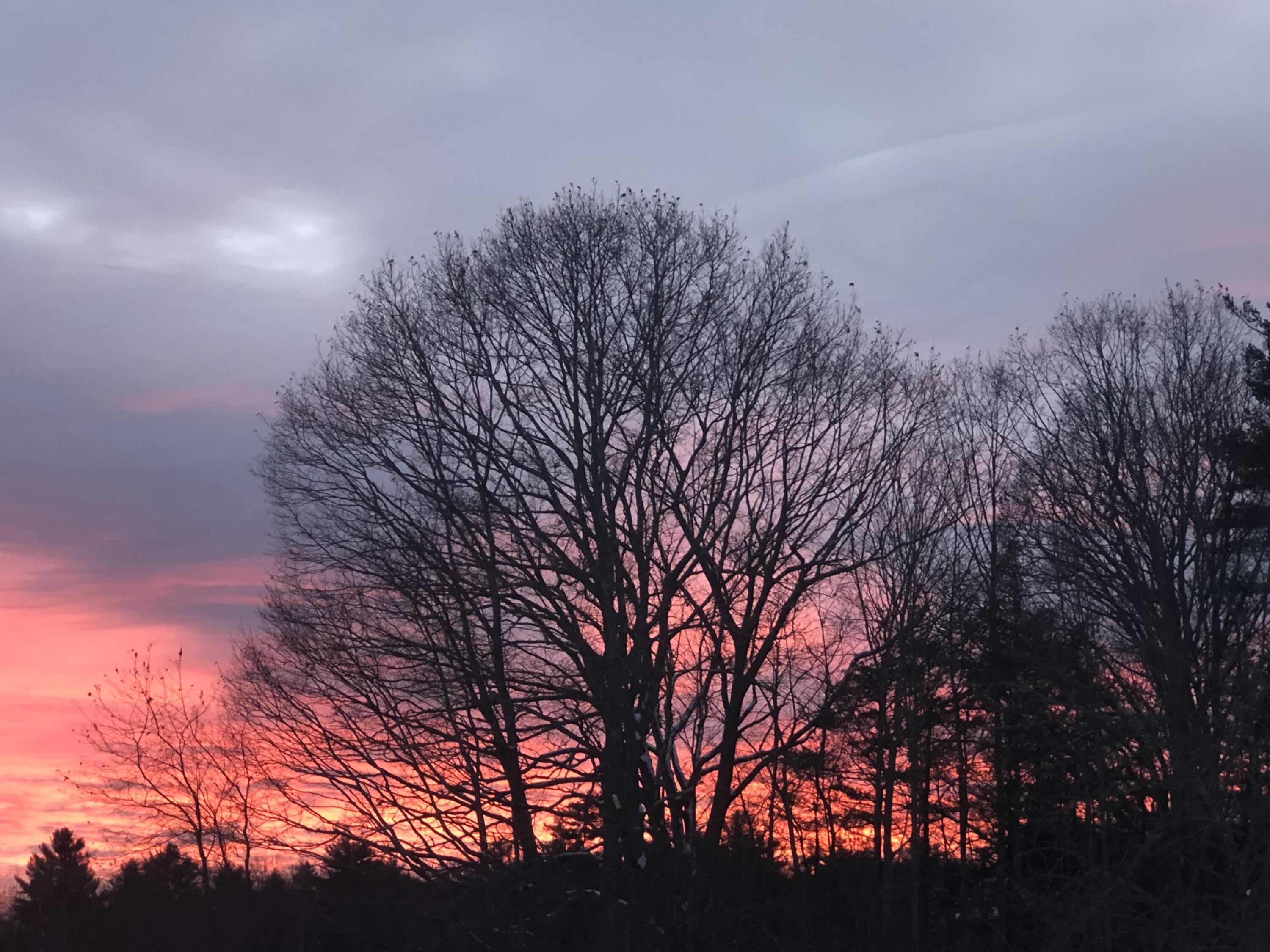 main property photo 60