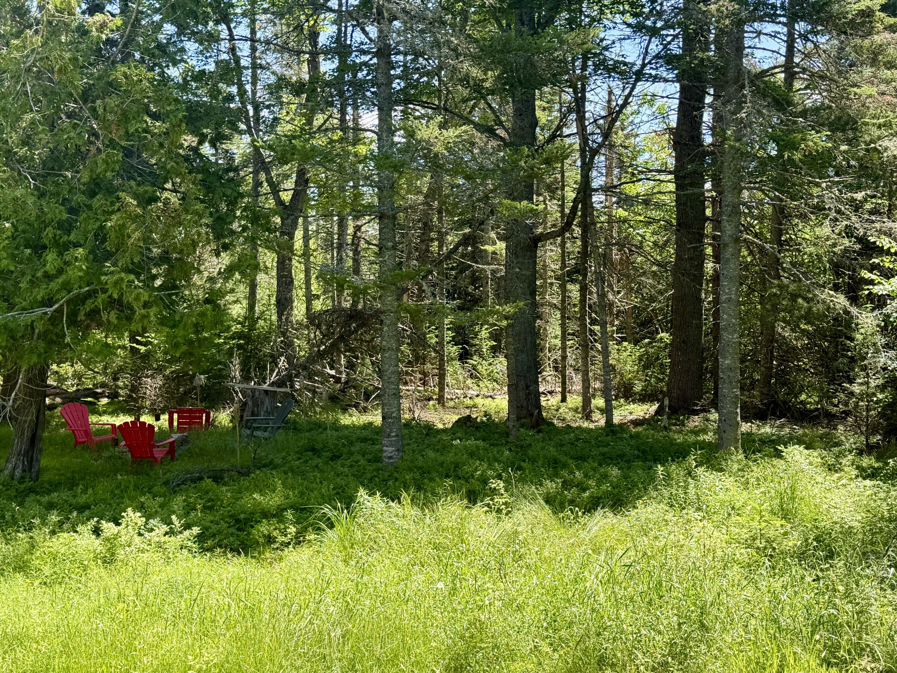 main property photo 55