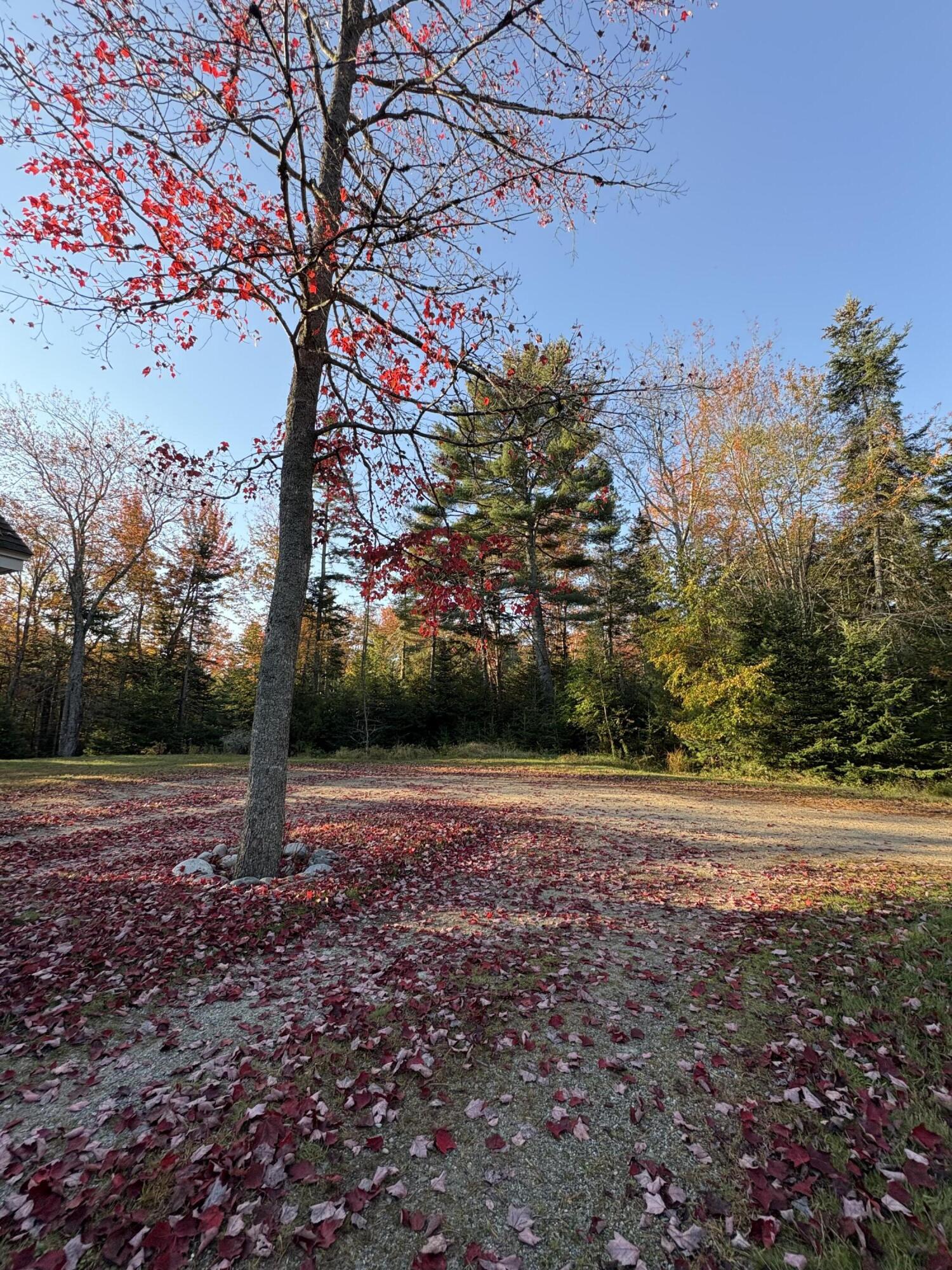 main property photo 64