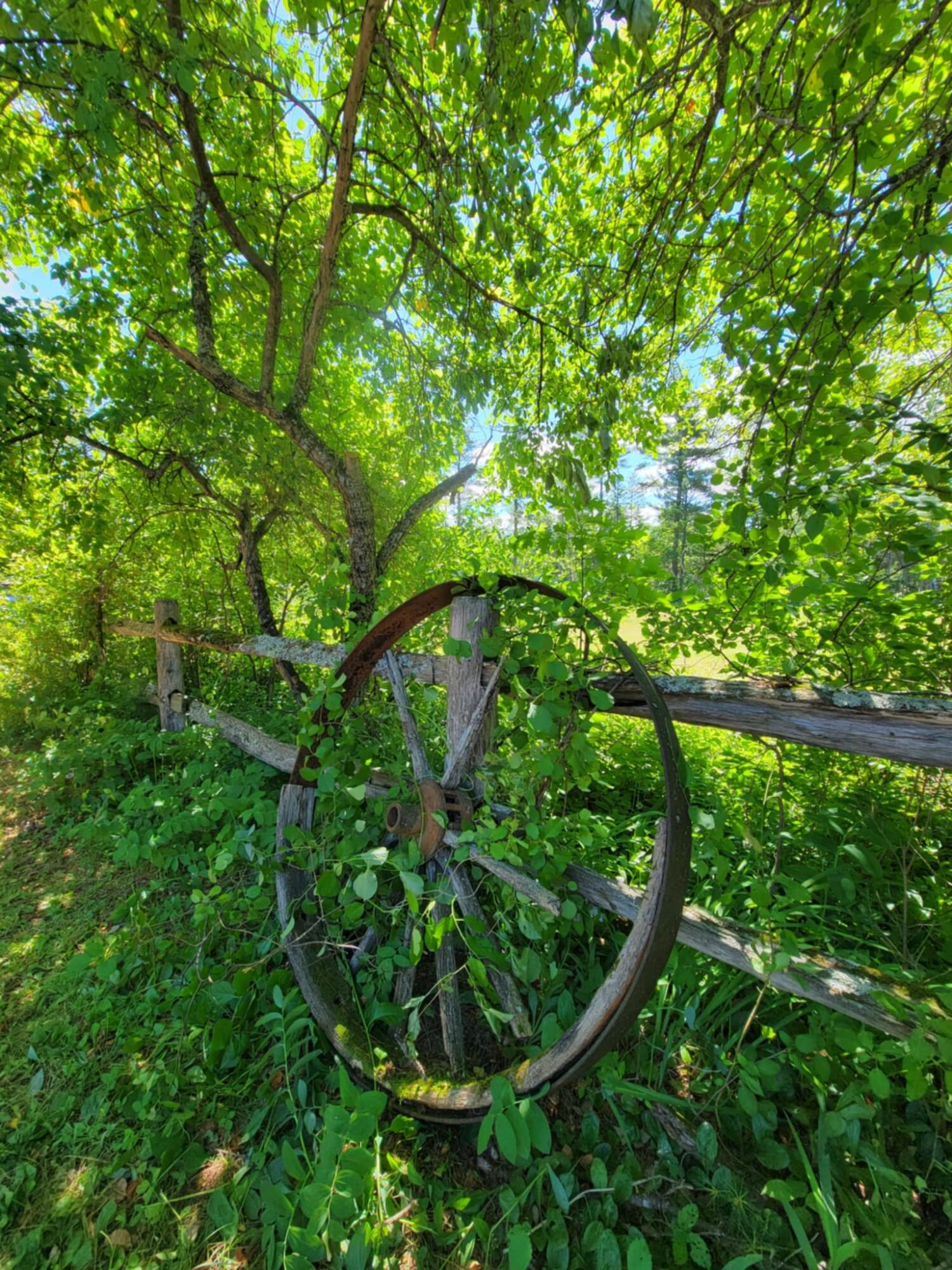 main property photo 94