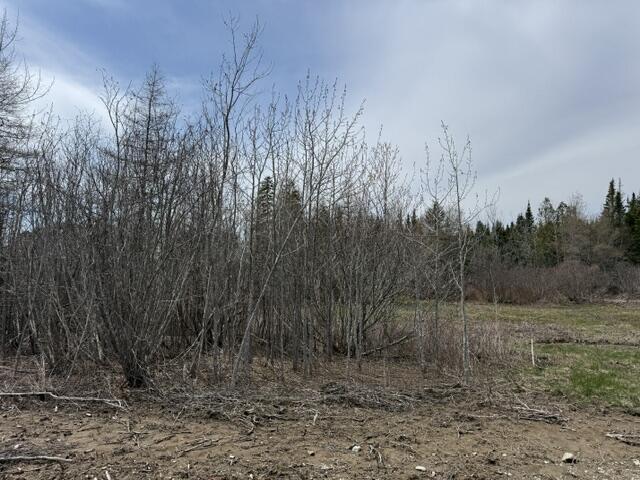 main property photo 35