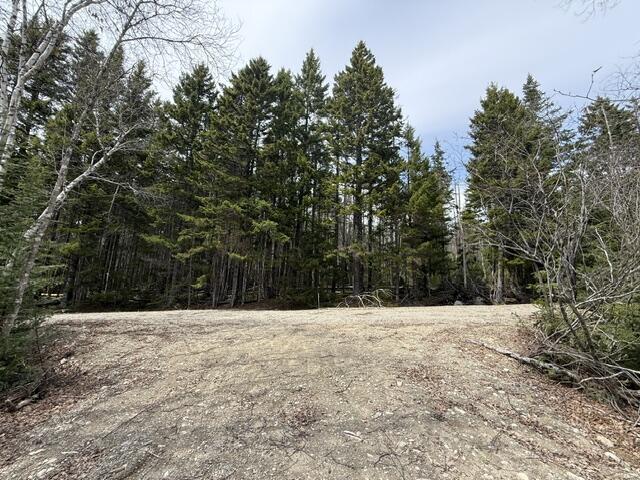 main property photo 46
