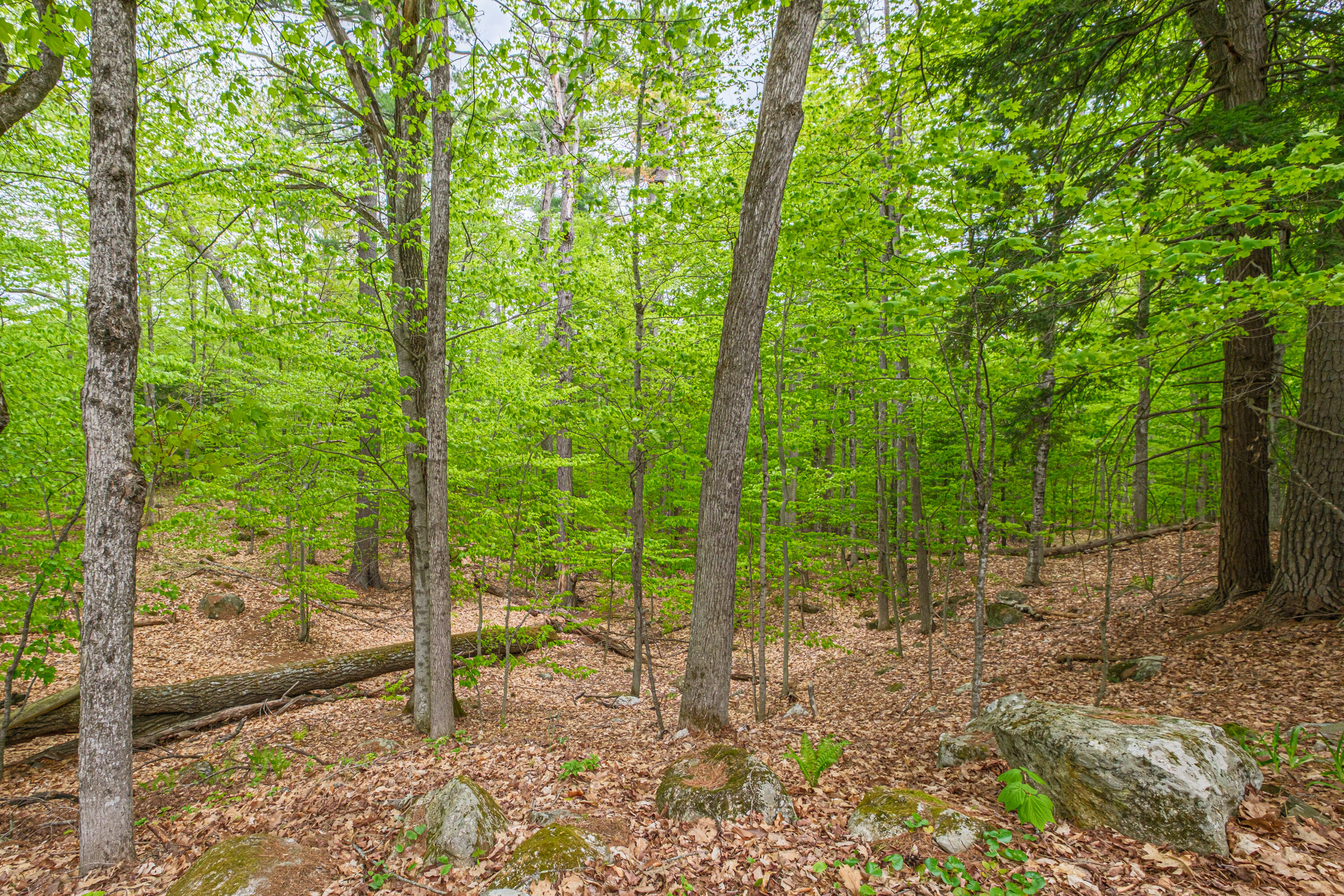 main property photo 114