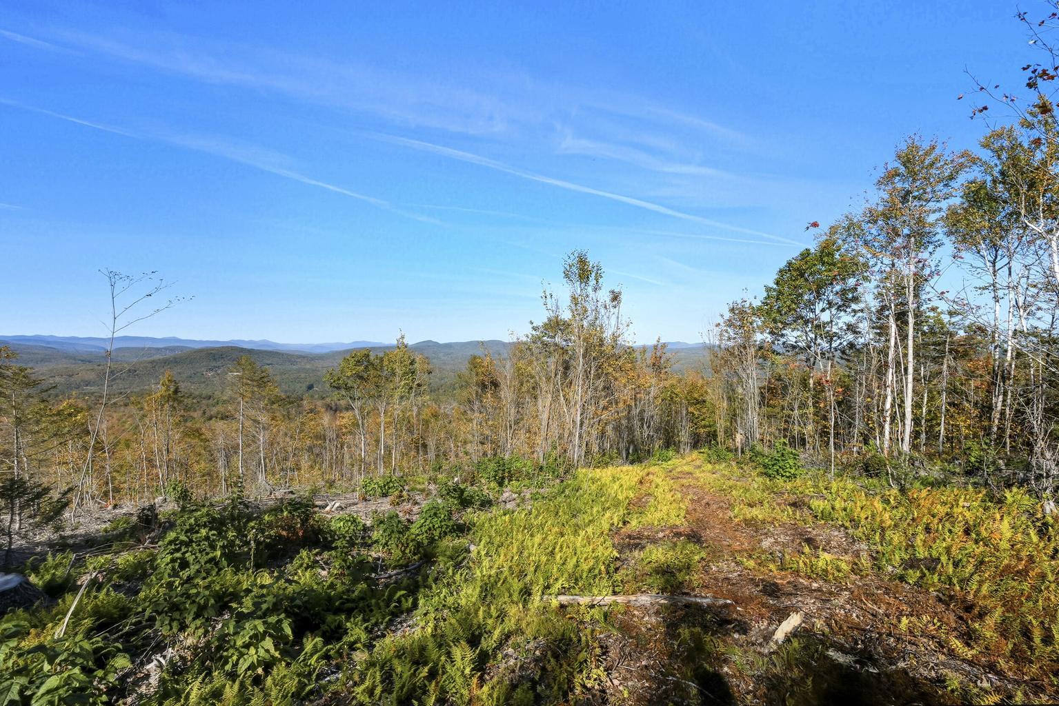 main property photo 29
