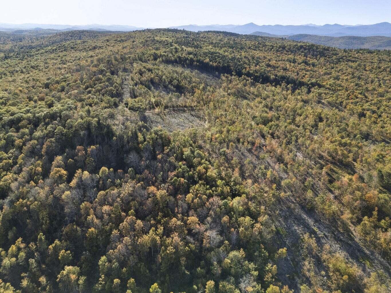 main property photo 94