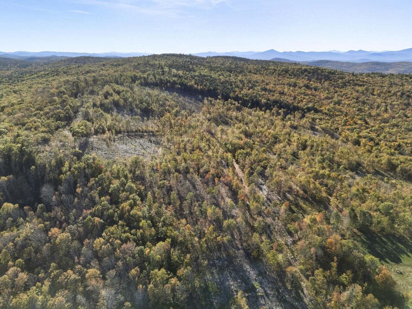 main property photo 96