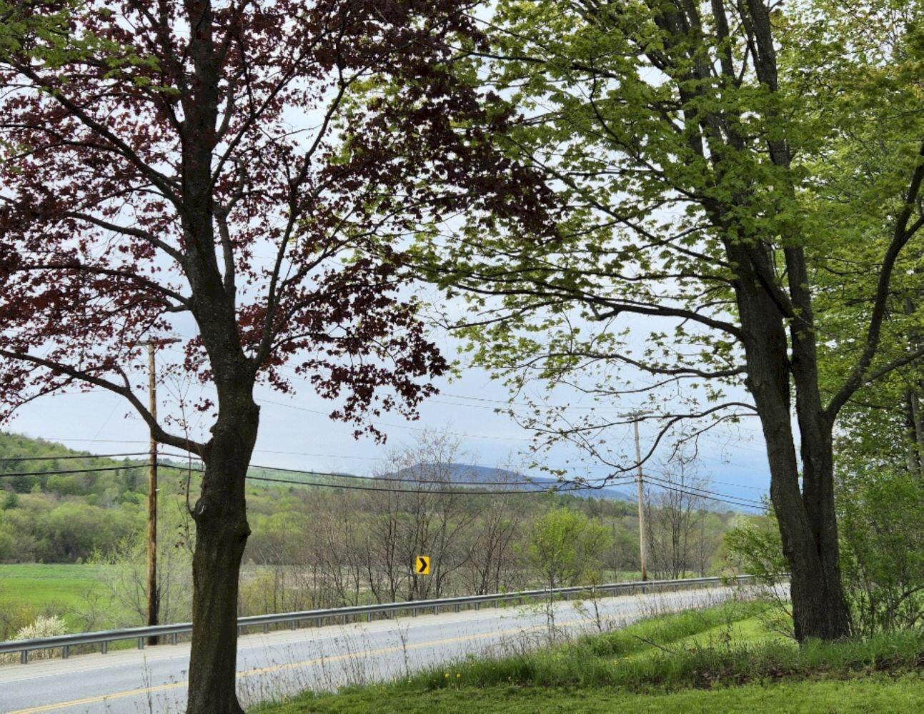 main property photo 67
