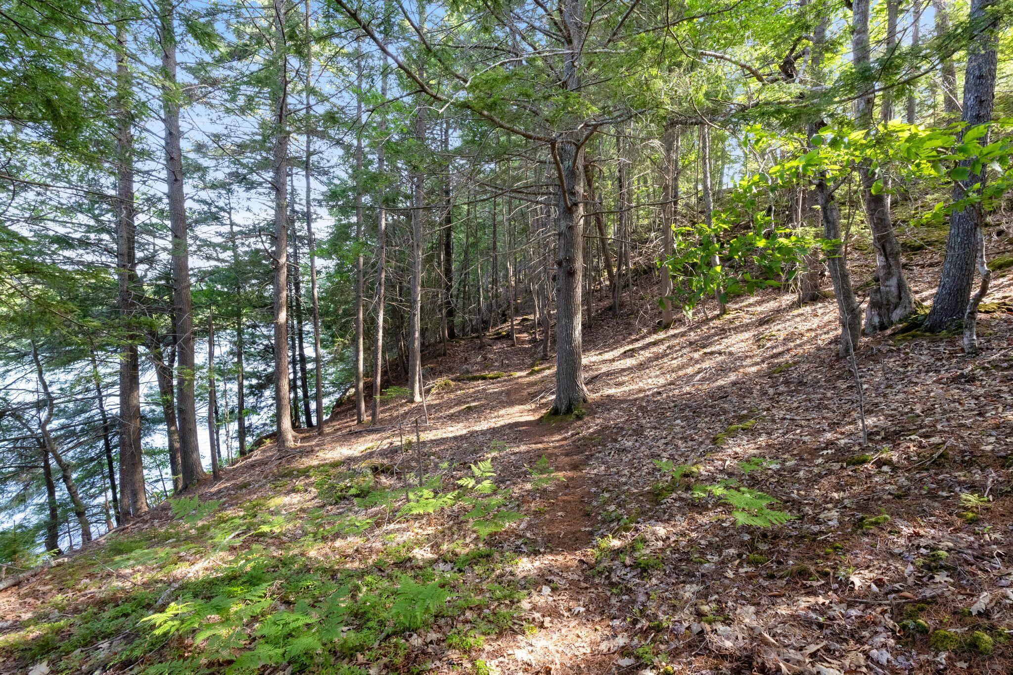 main property photo 83
