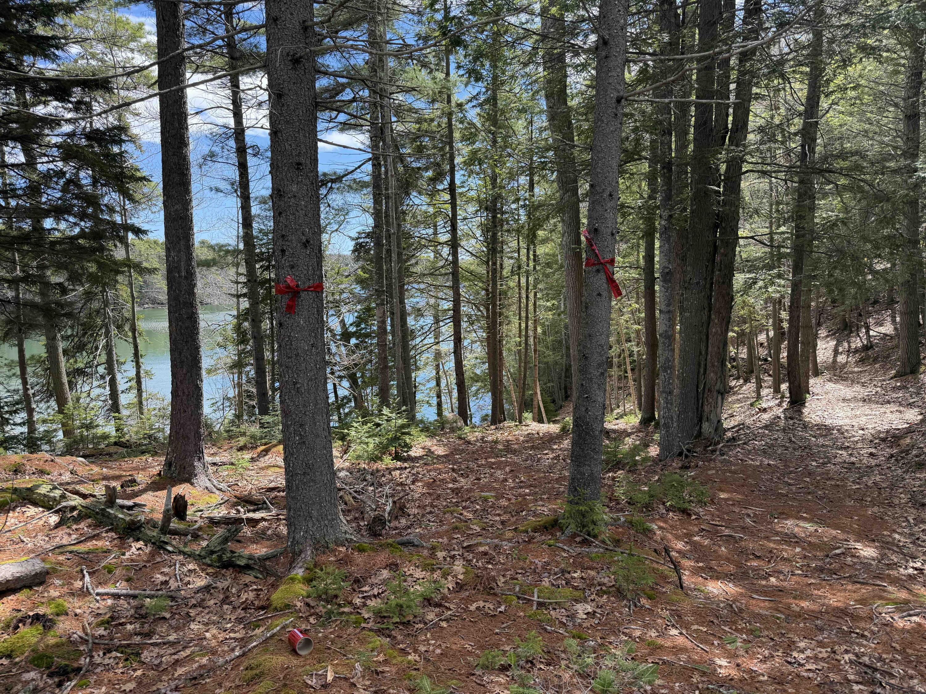 main property photo 96
