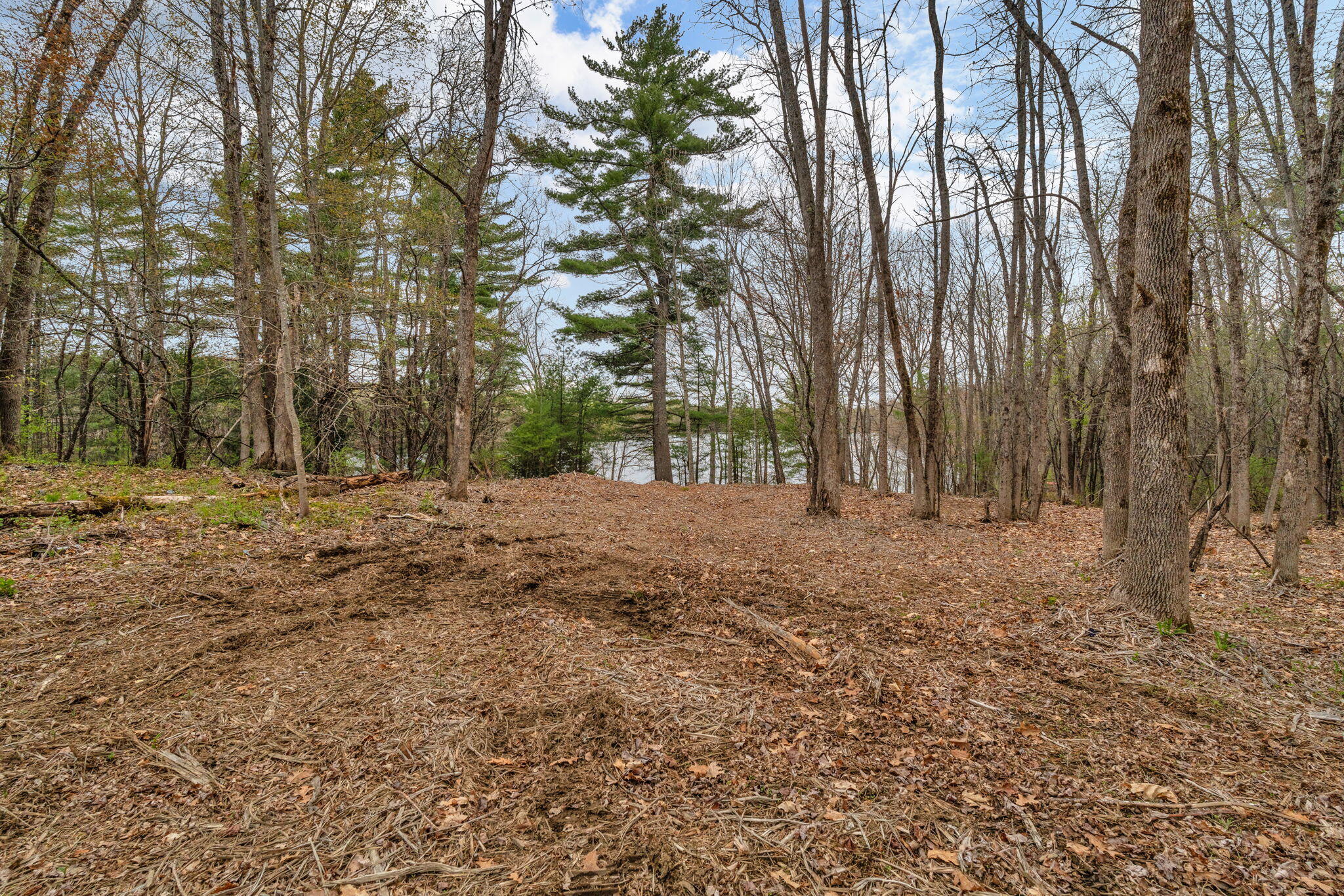 main property photo 55