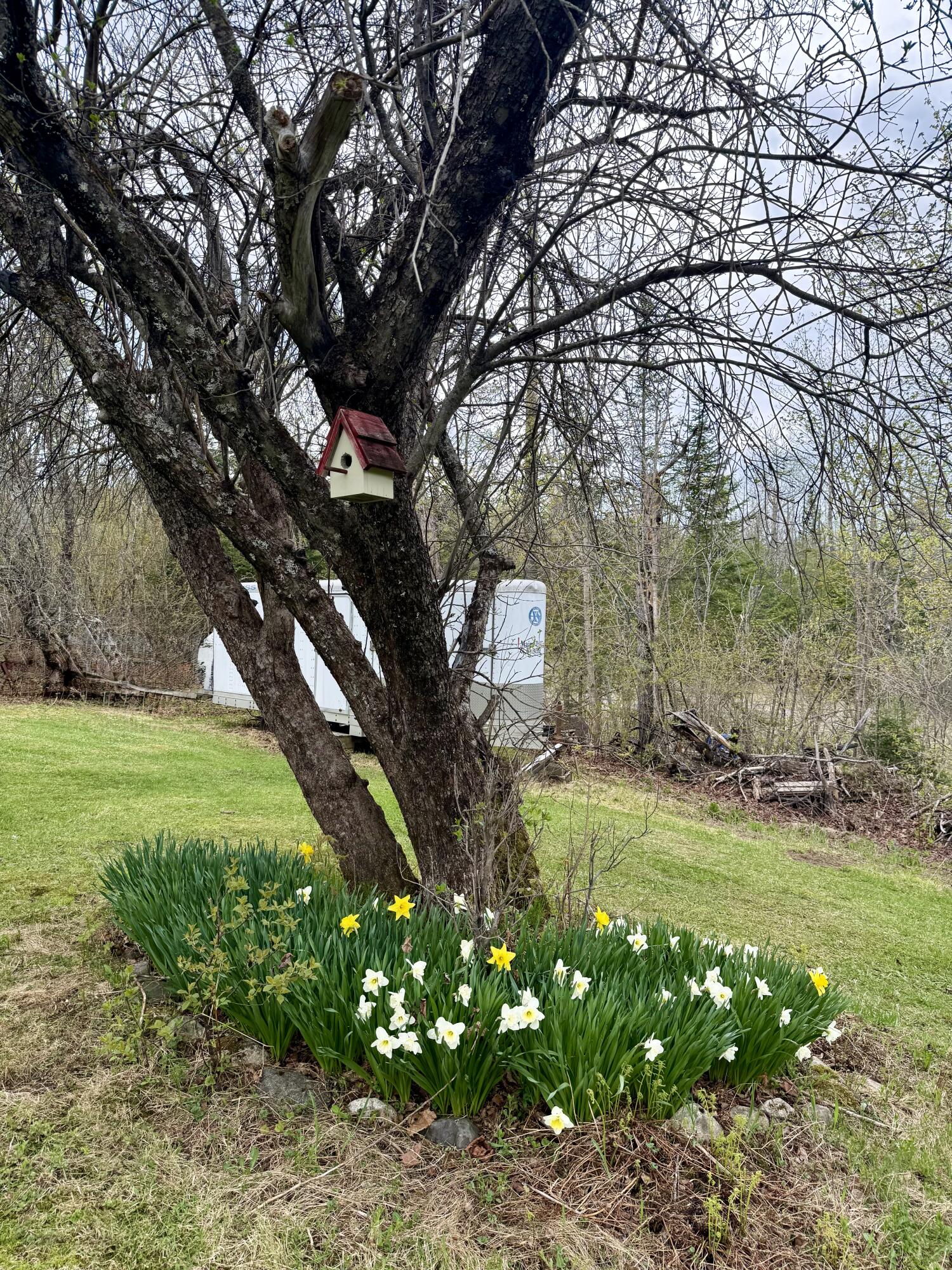 main property photo 16