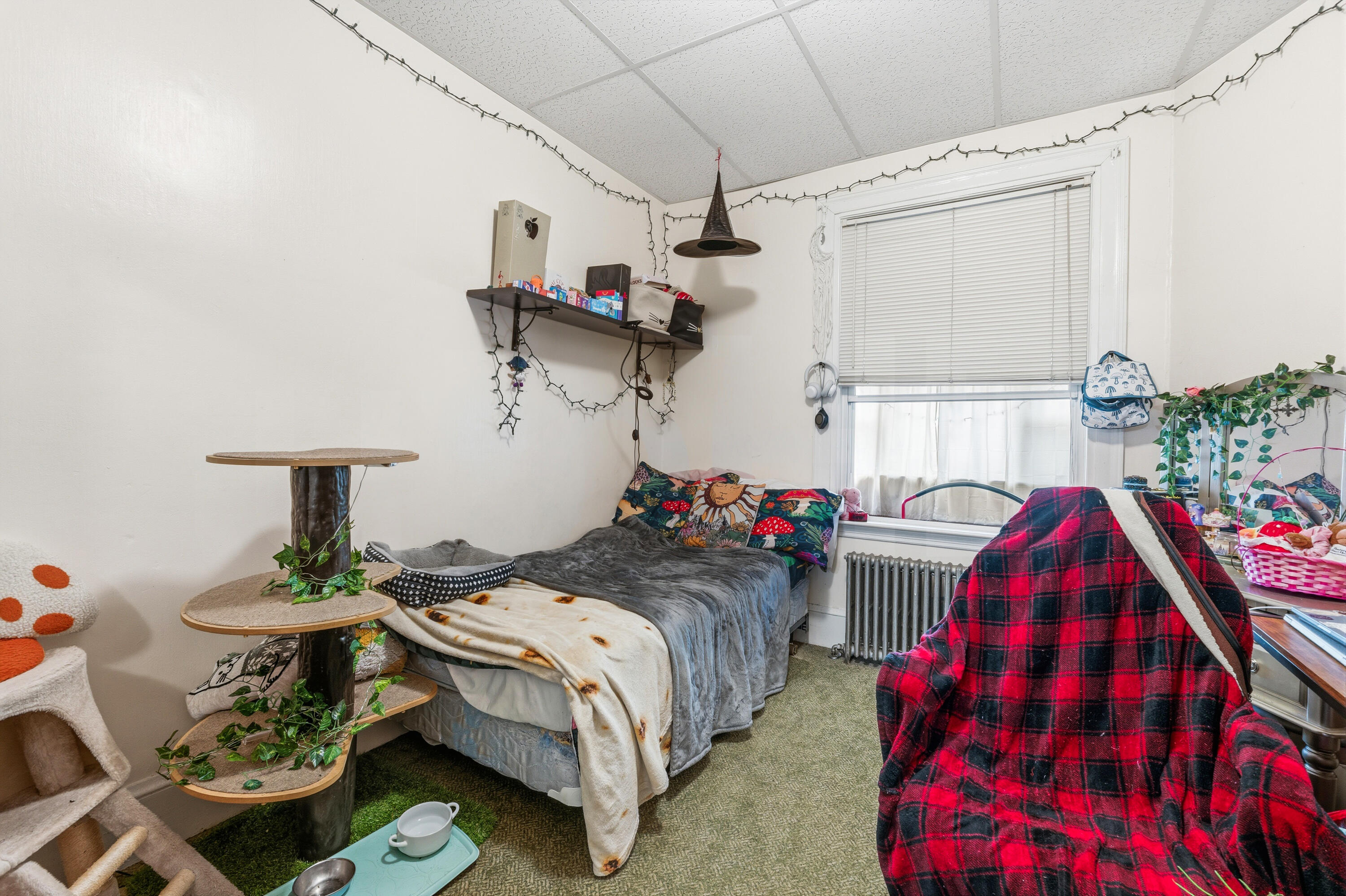 main property photo 67