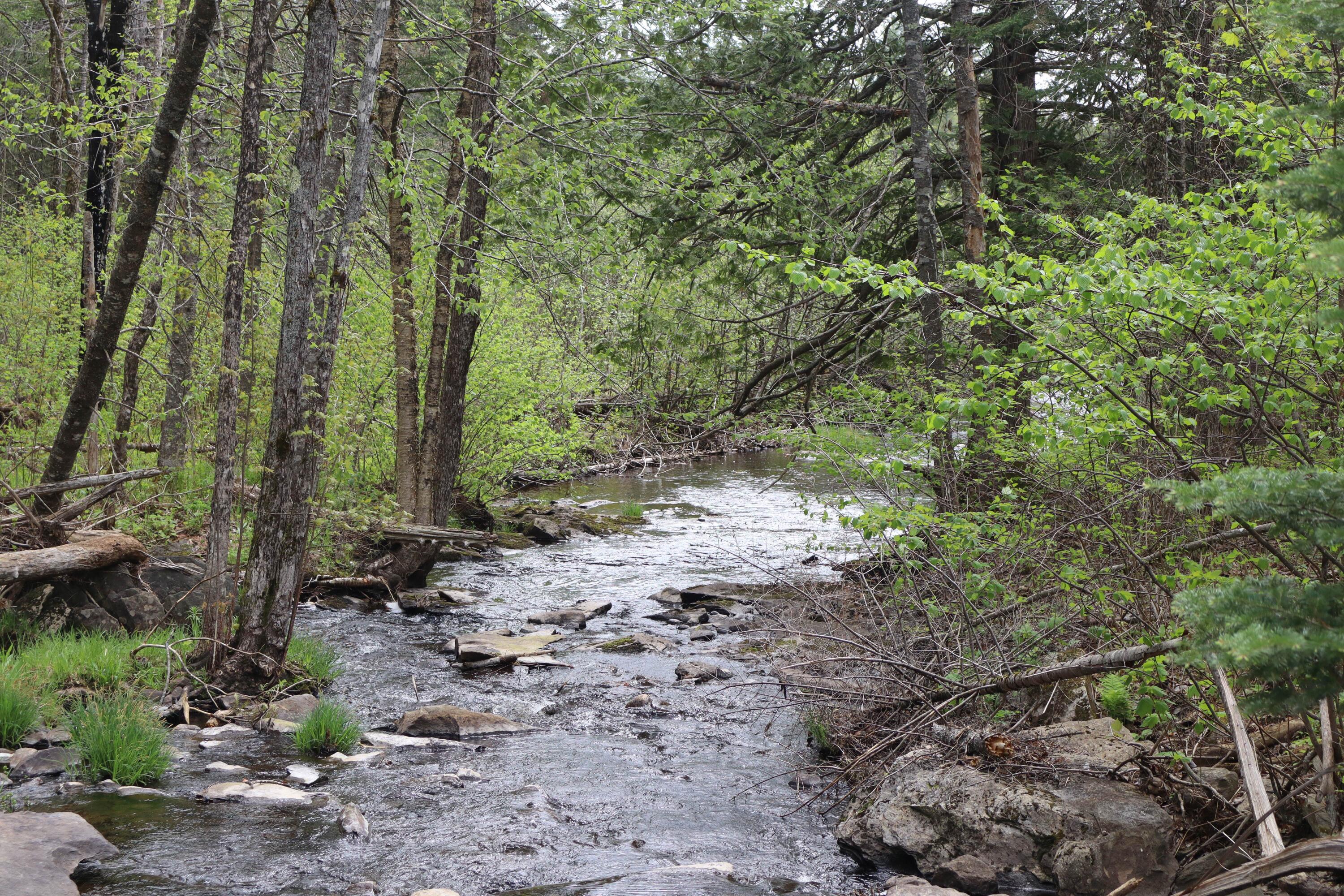 main property photo 55