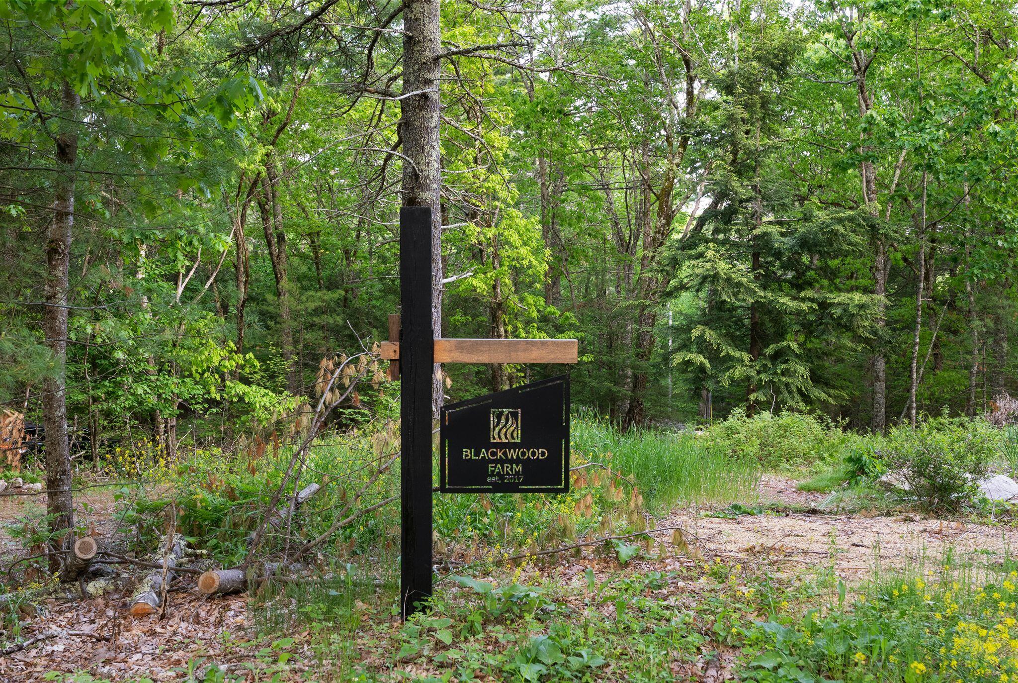 main property photo 57