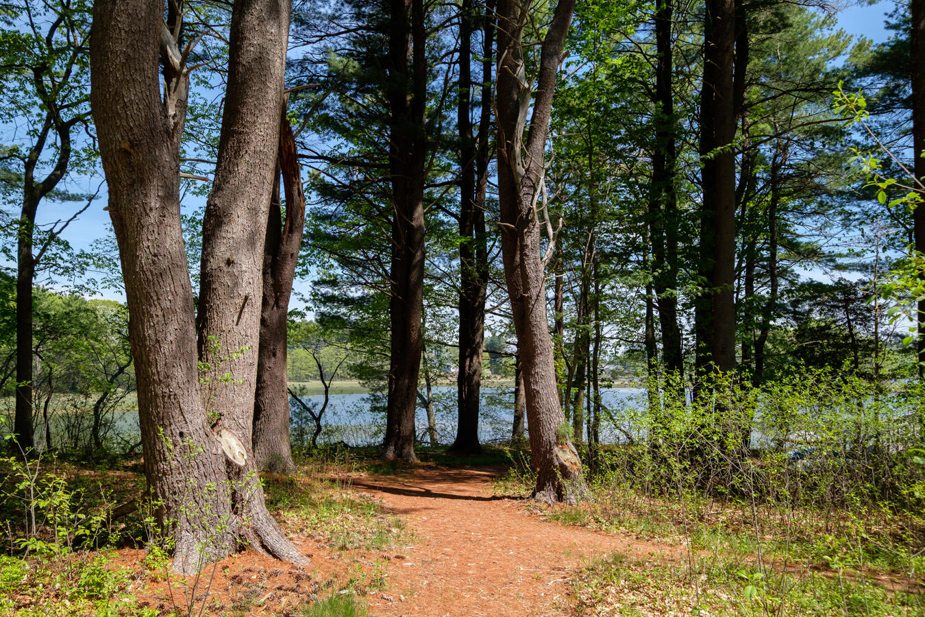main property photo 39