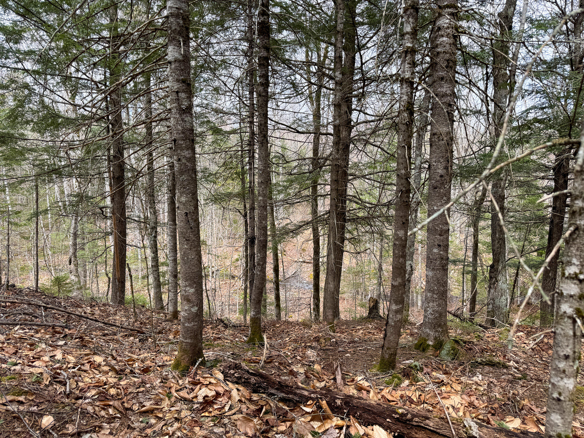 main property photo 40
