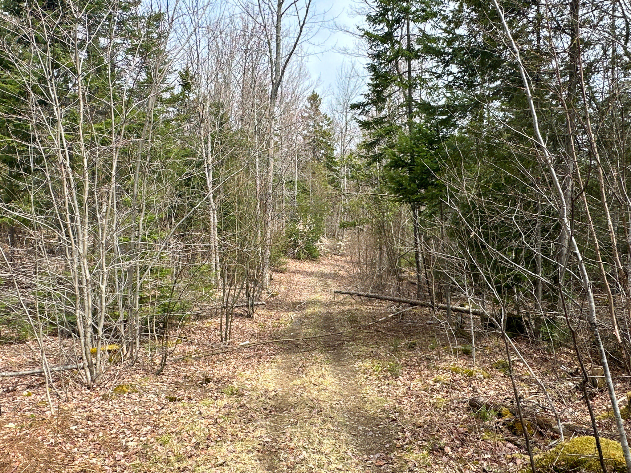 main property photo 45
