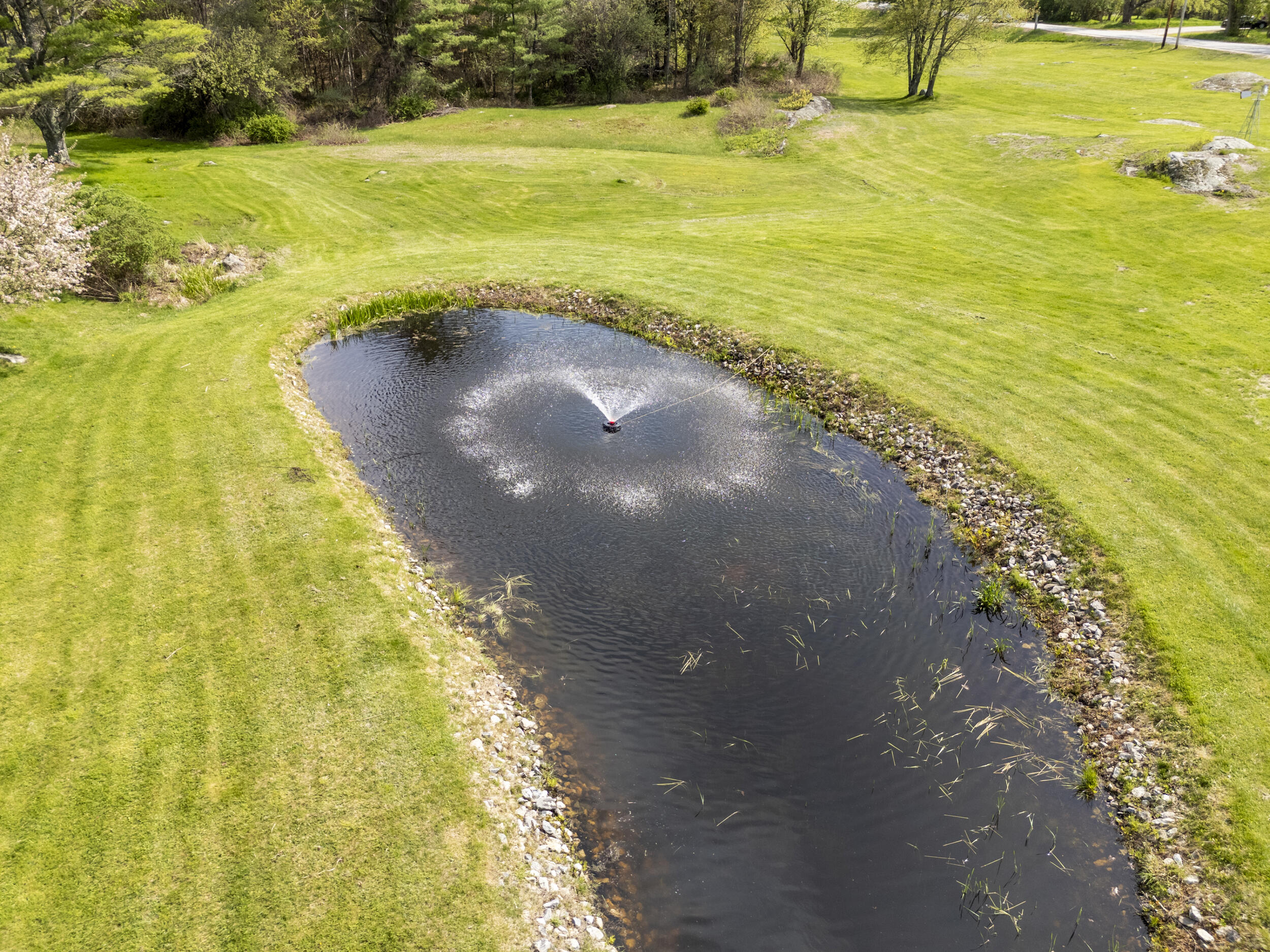 main property photo 66