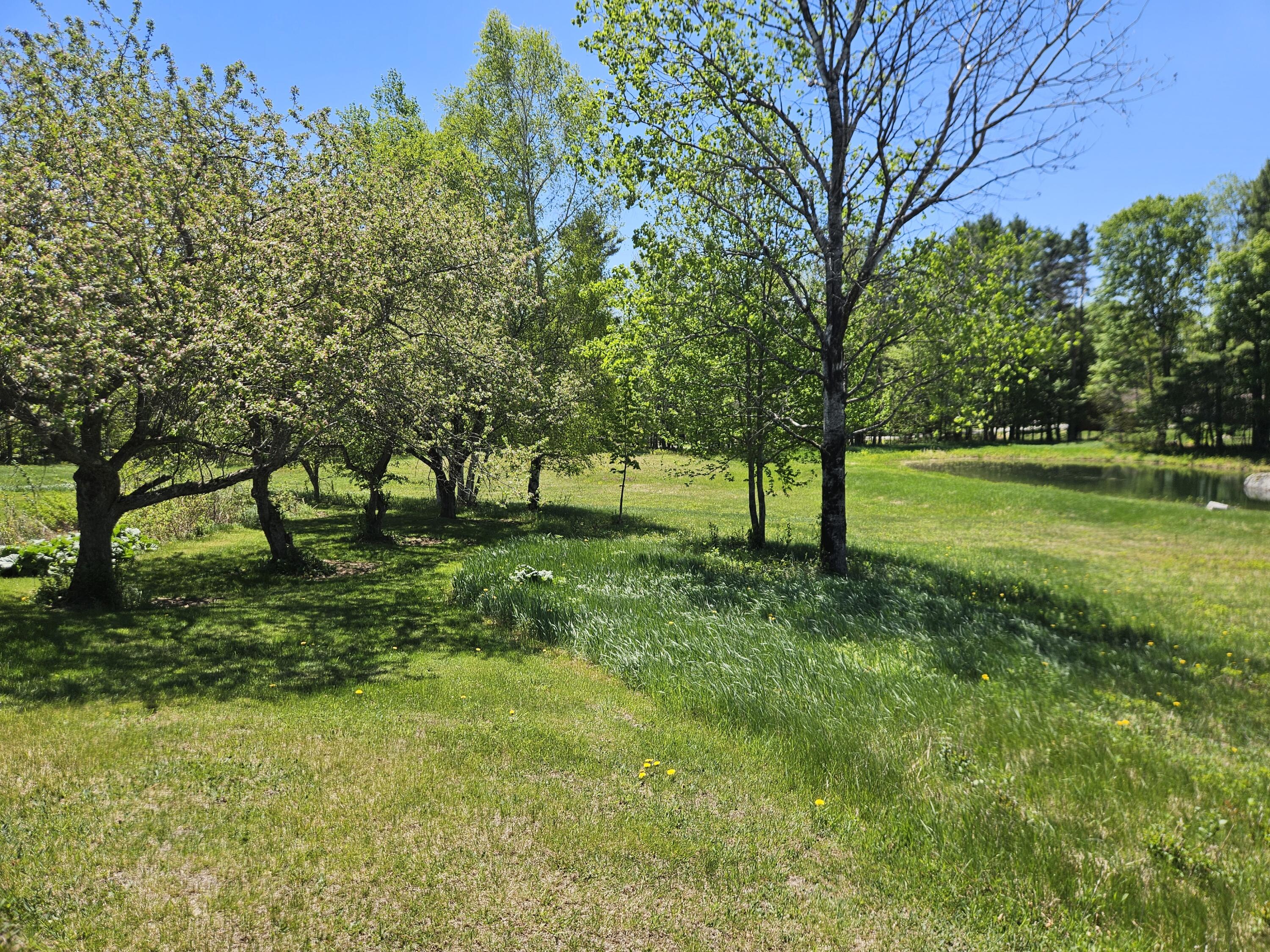 main property photo 49