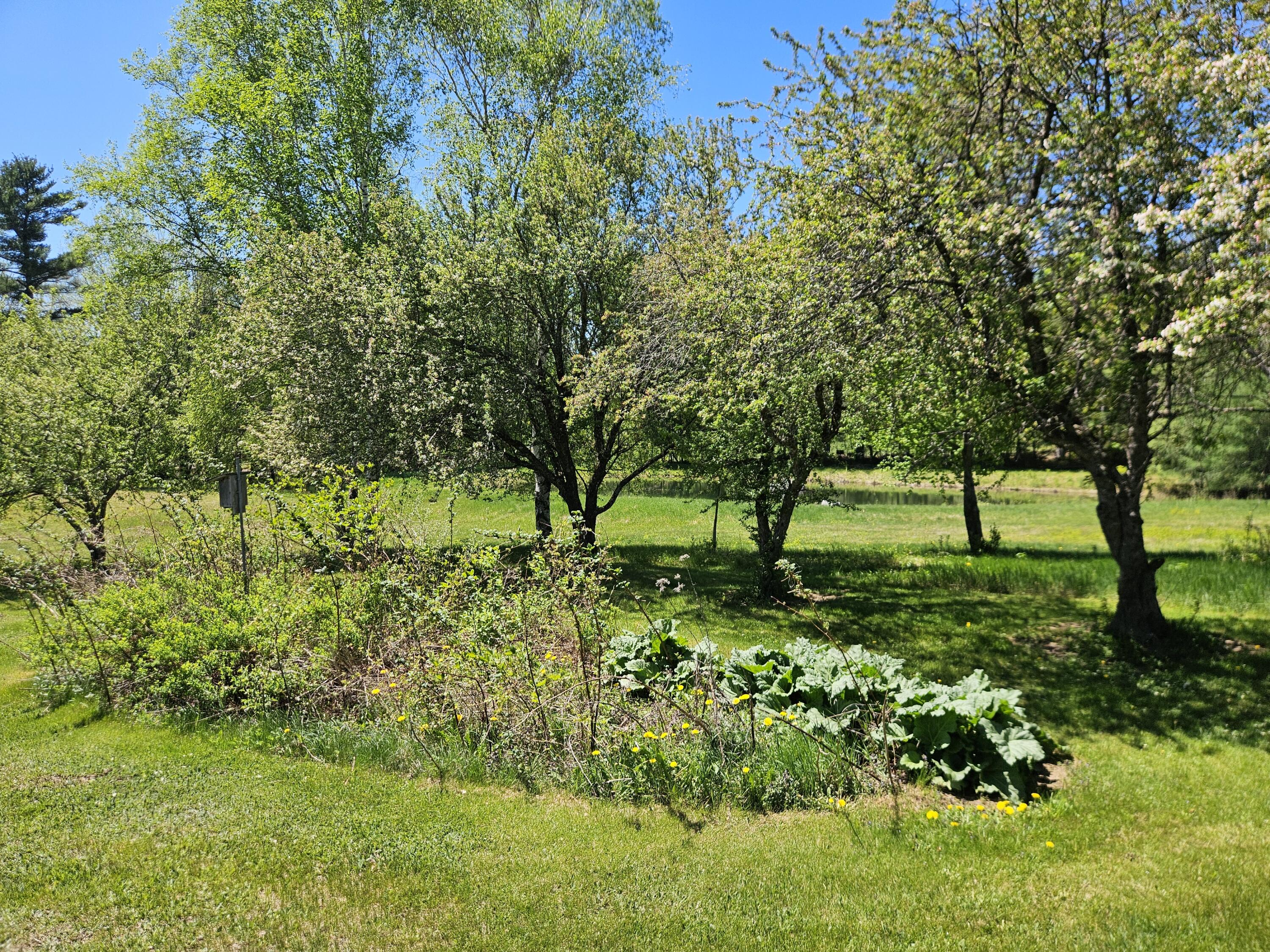 main property photo 50