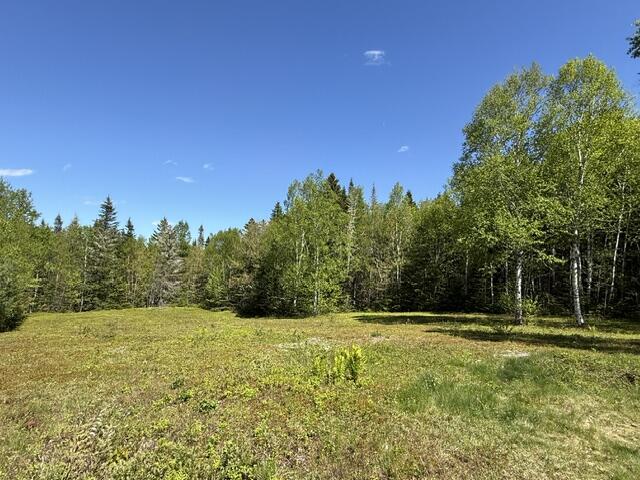 main property photo 109