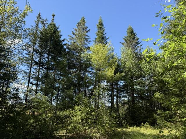 main property photo 139