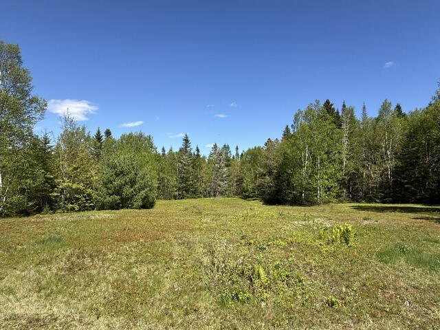 main property photo 97