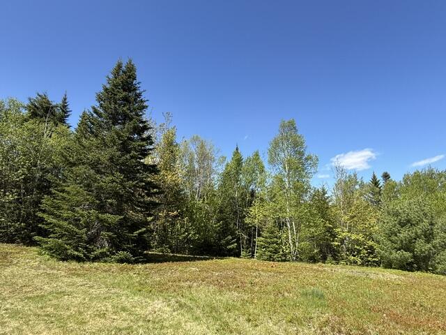 main property photo 98