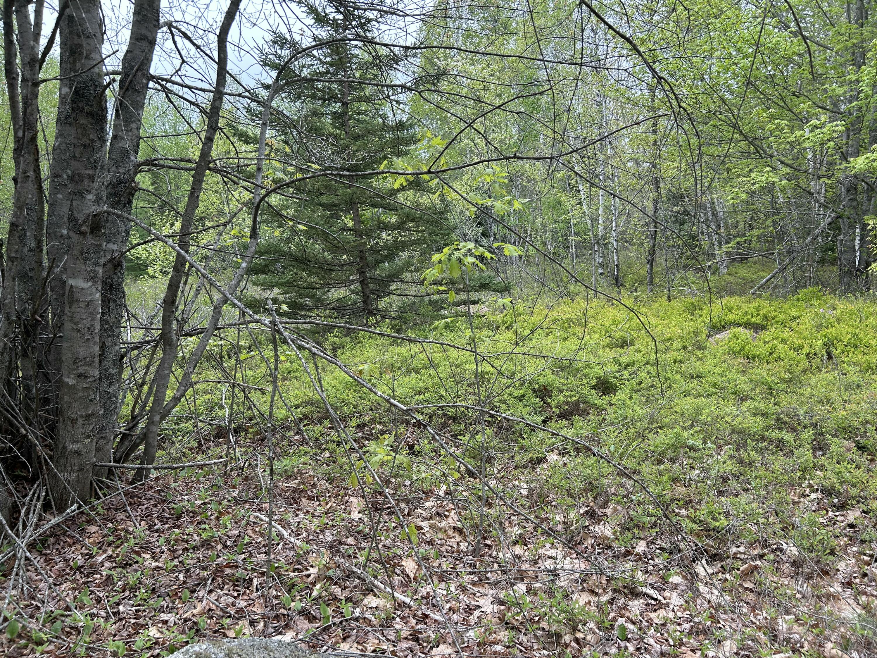 main property photo 25