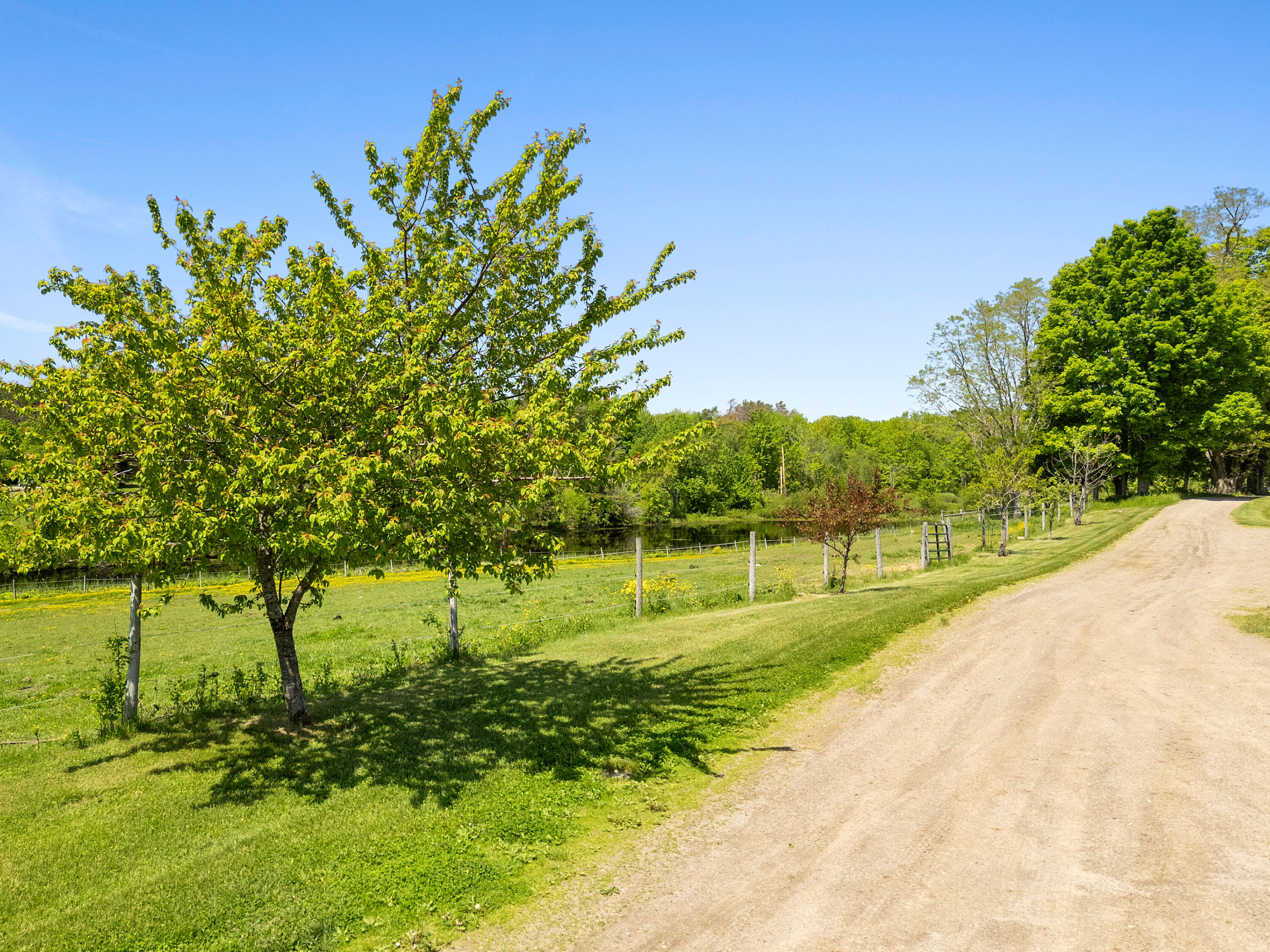 main property photo 64