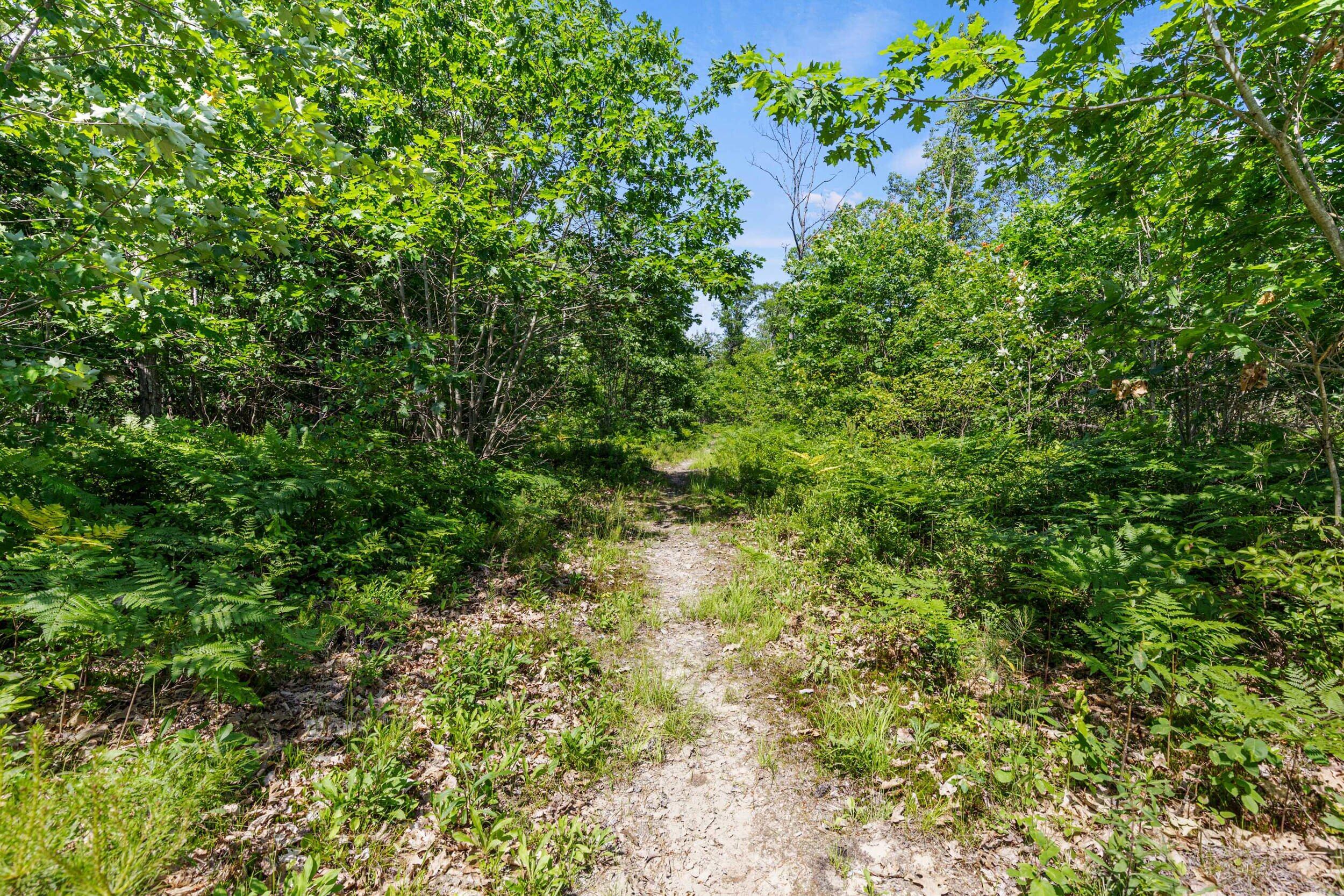main property photo 30