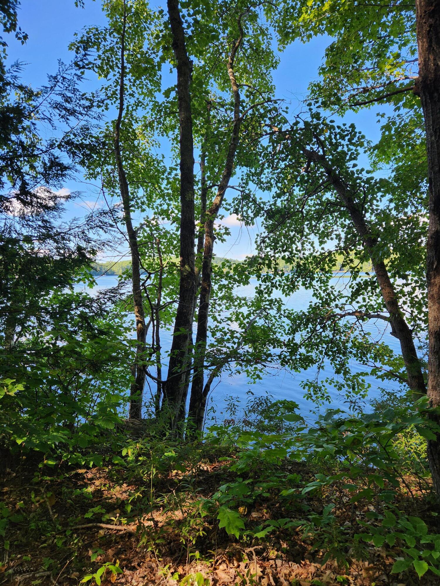 main property photo 54