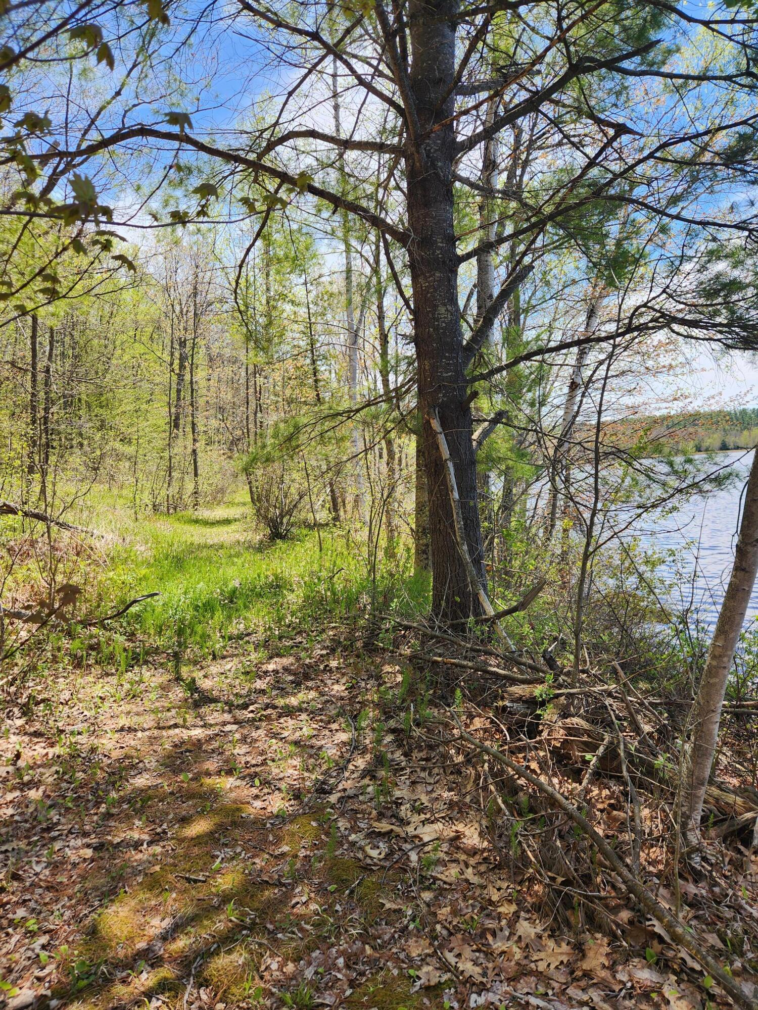 main property photo 64