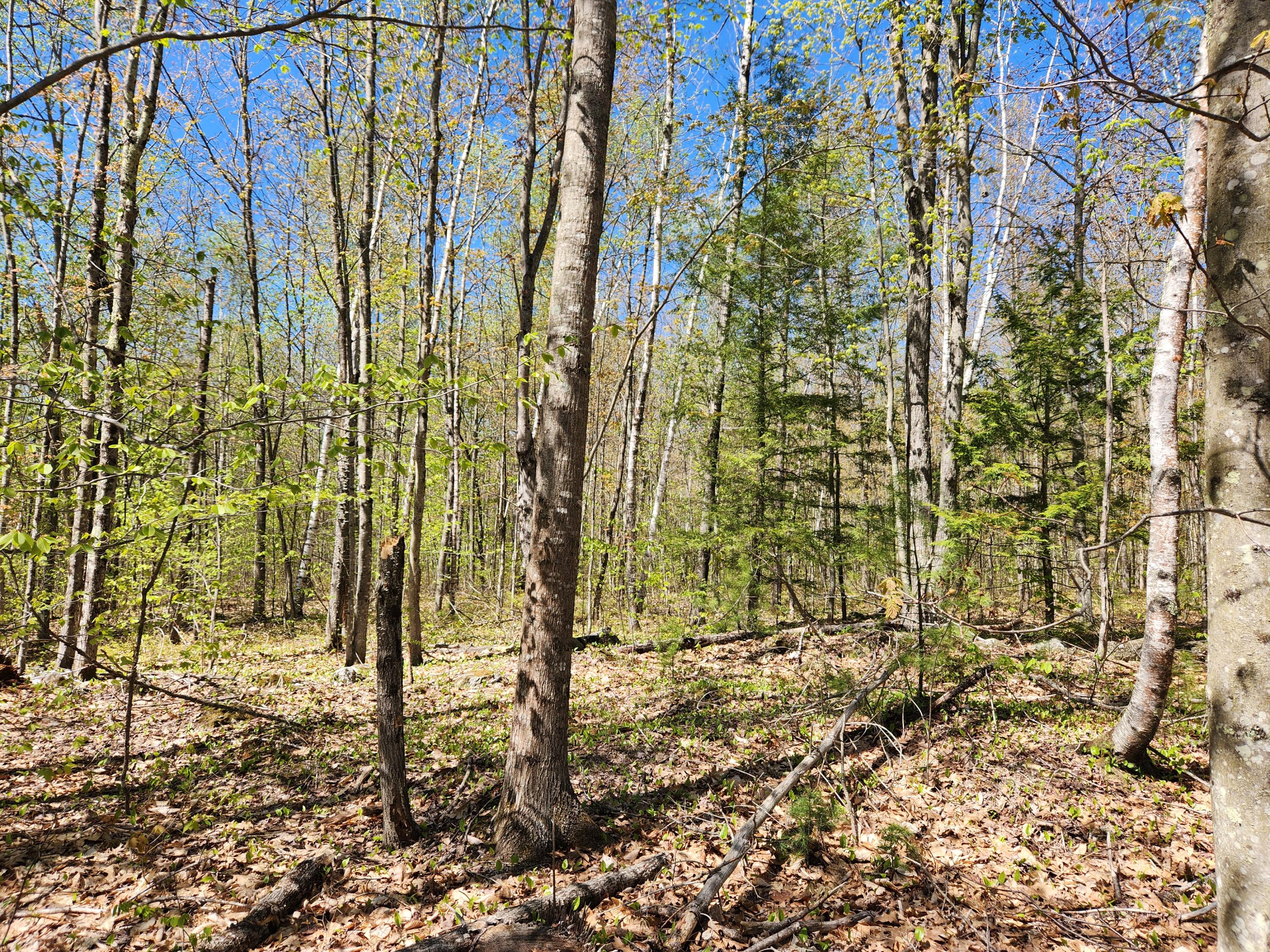main property photo 71
