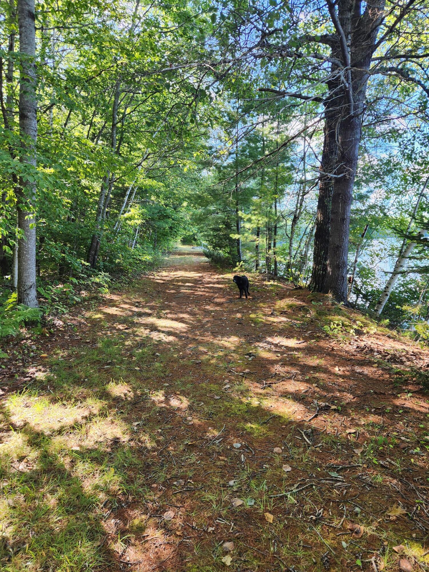 main property photo 75