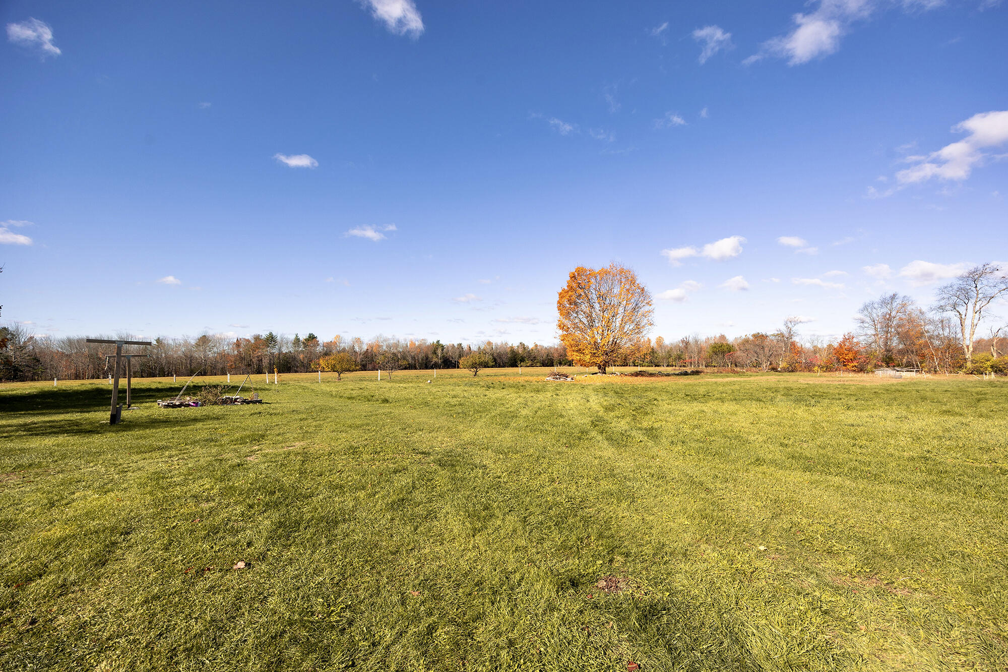 main property photo 56