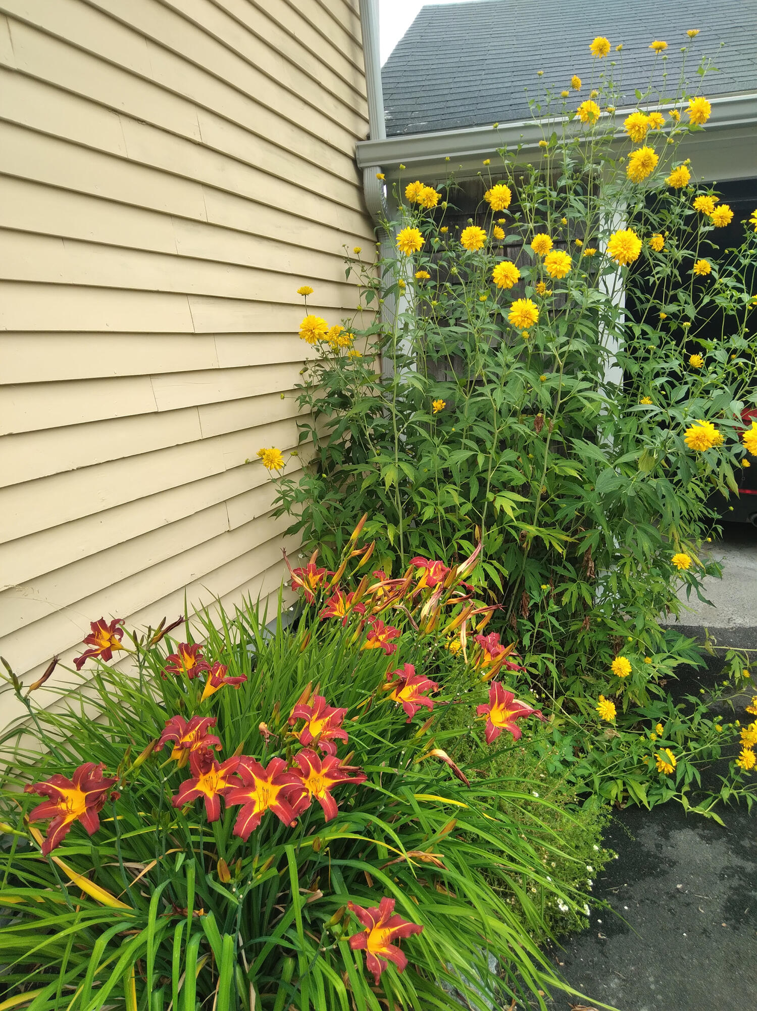 main property photo 75