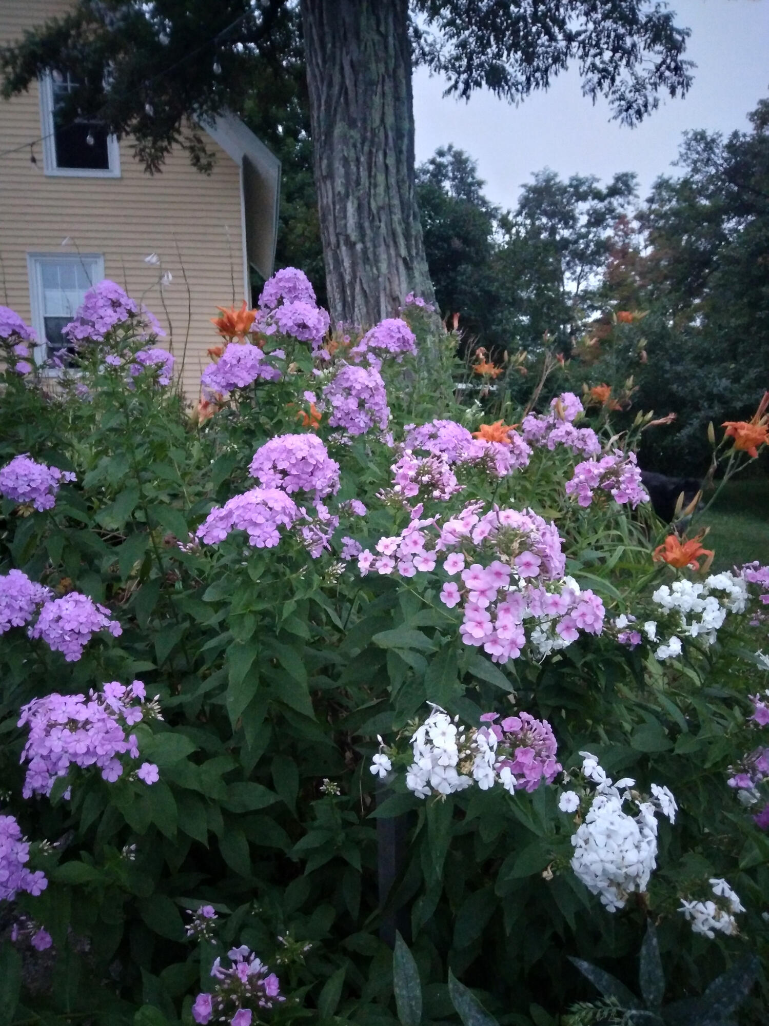 main property photo 77