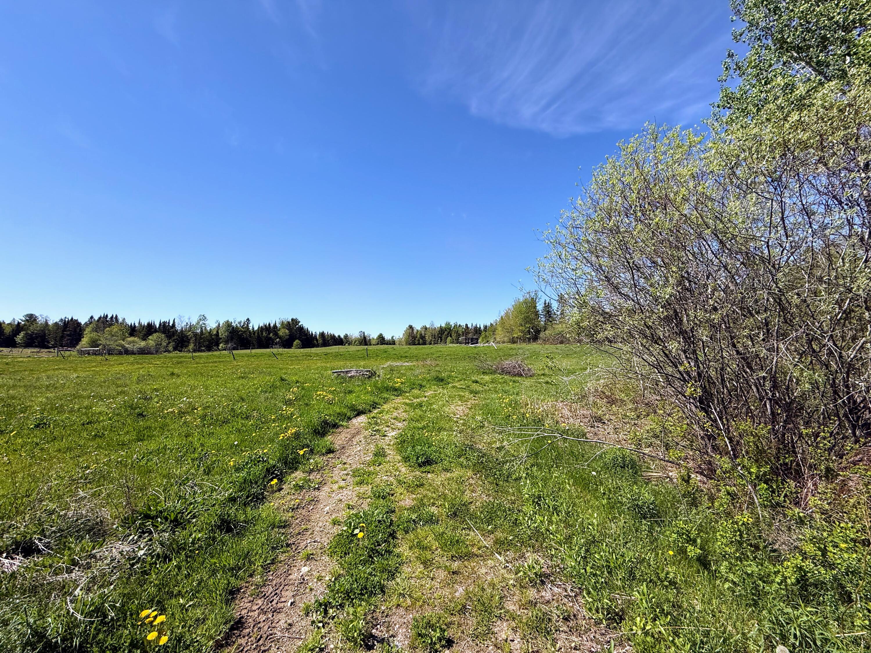 main property photo 34