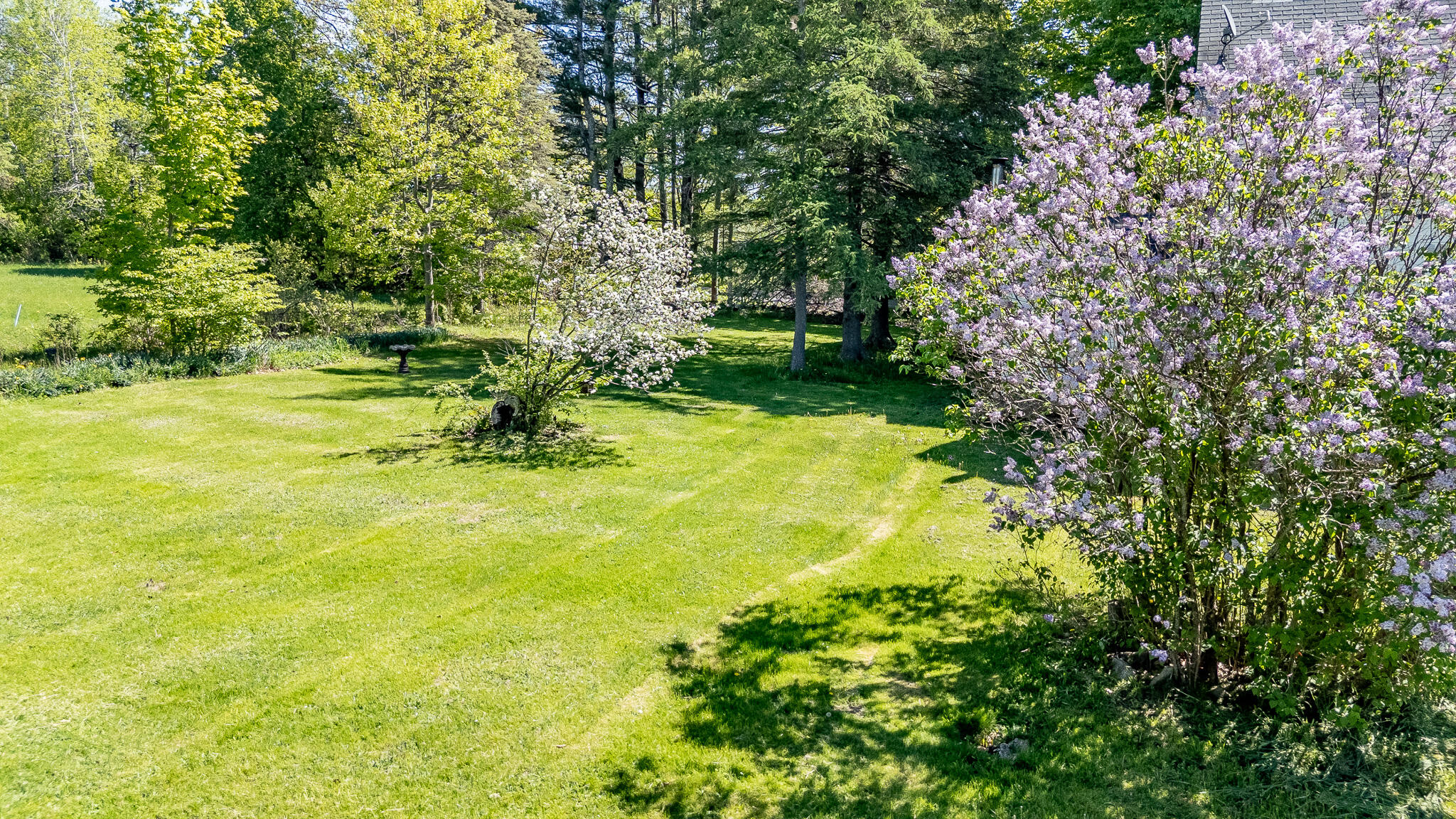main property photo 64