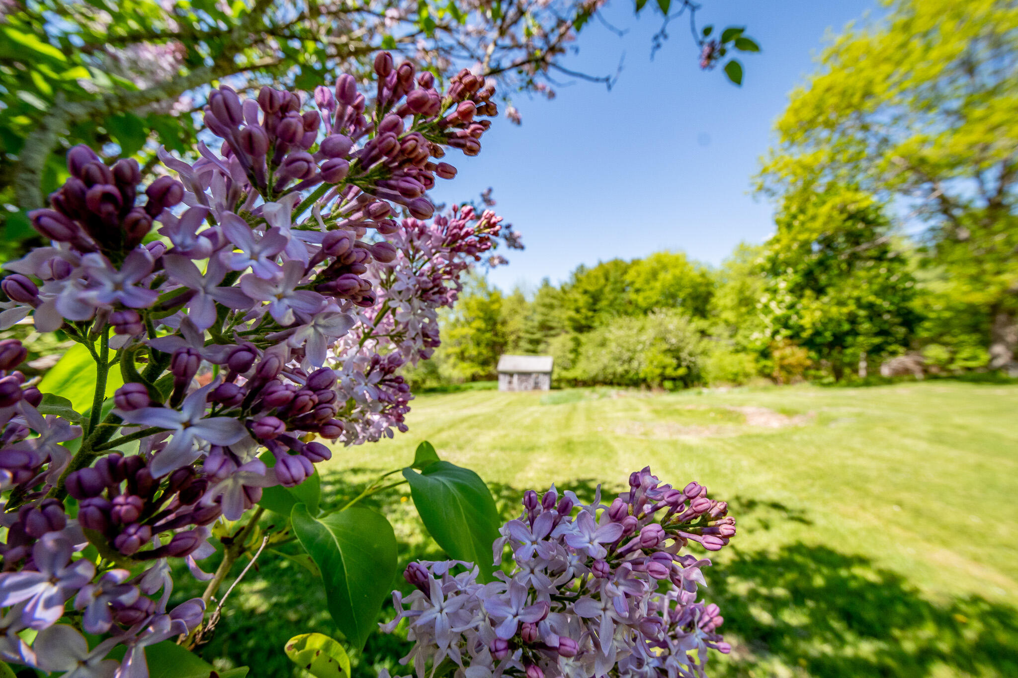 main property photo 67
