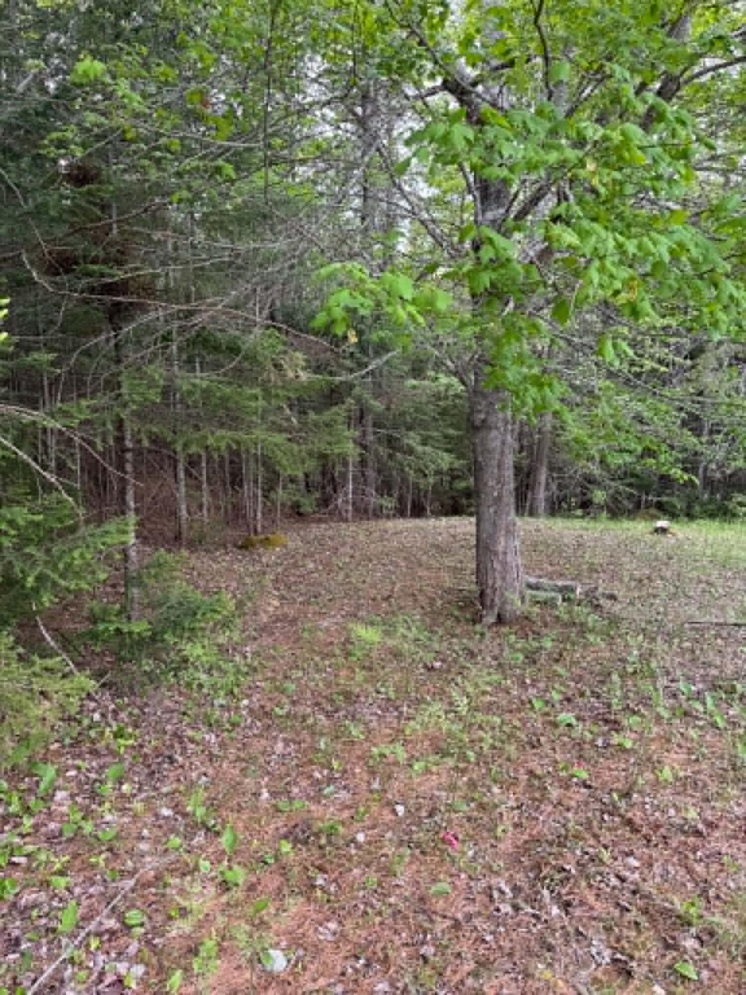 main property photo 36
