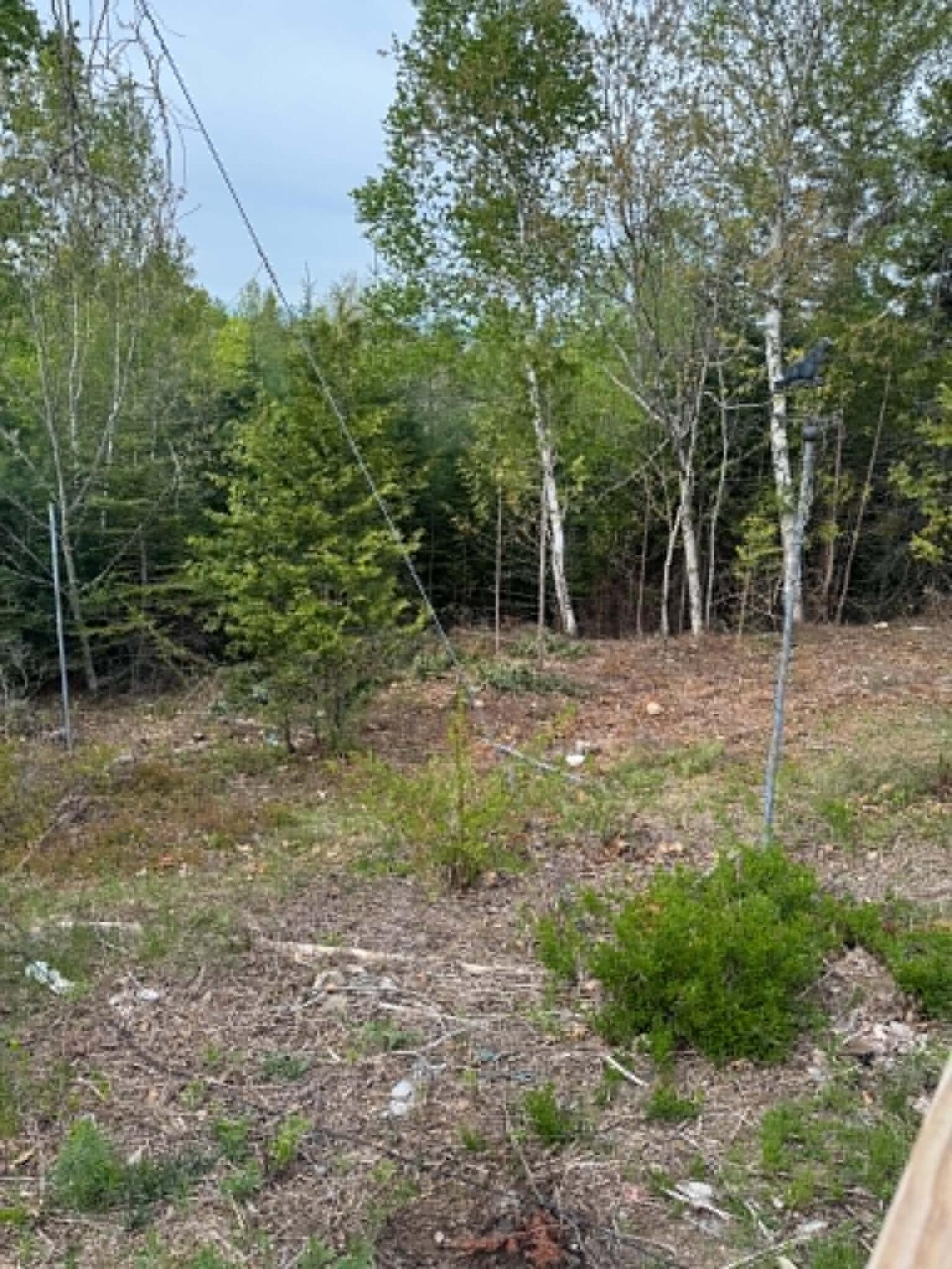 main property photo 40